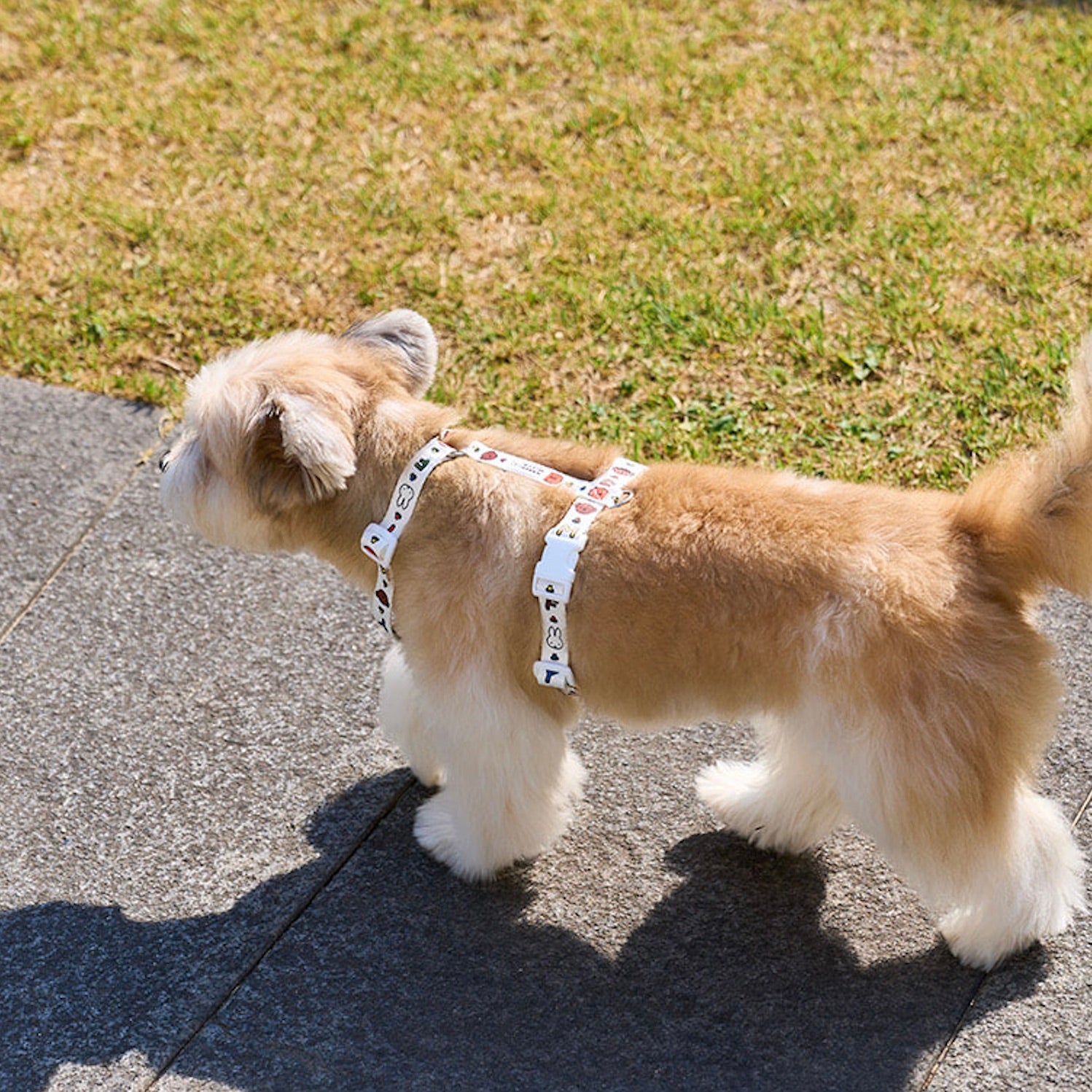 海外犬服 高品質なインポートのドッグウェア通販 