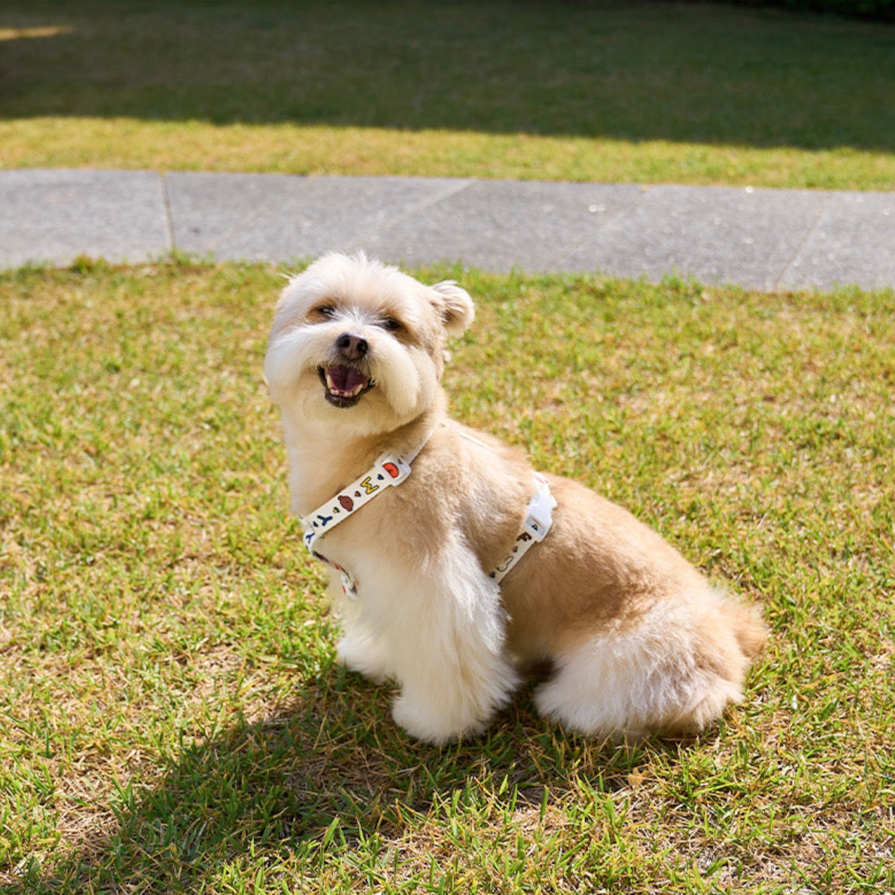海外犬服 高品質なインポートのドッグウェア通販 