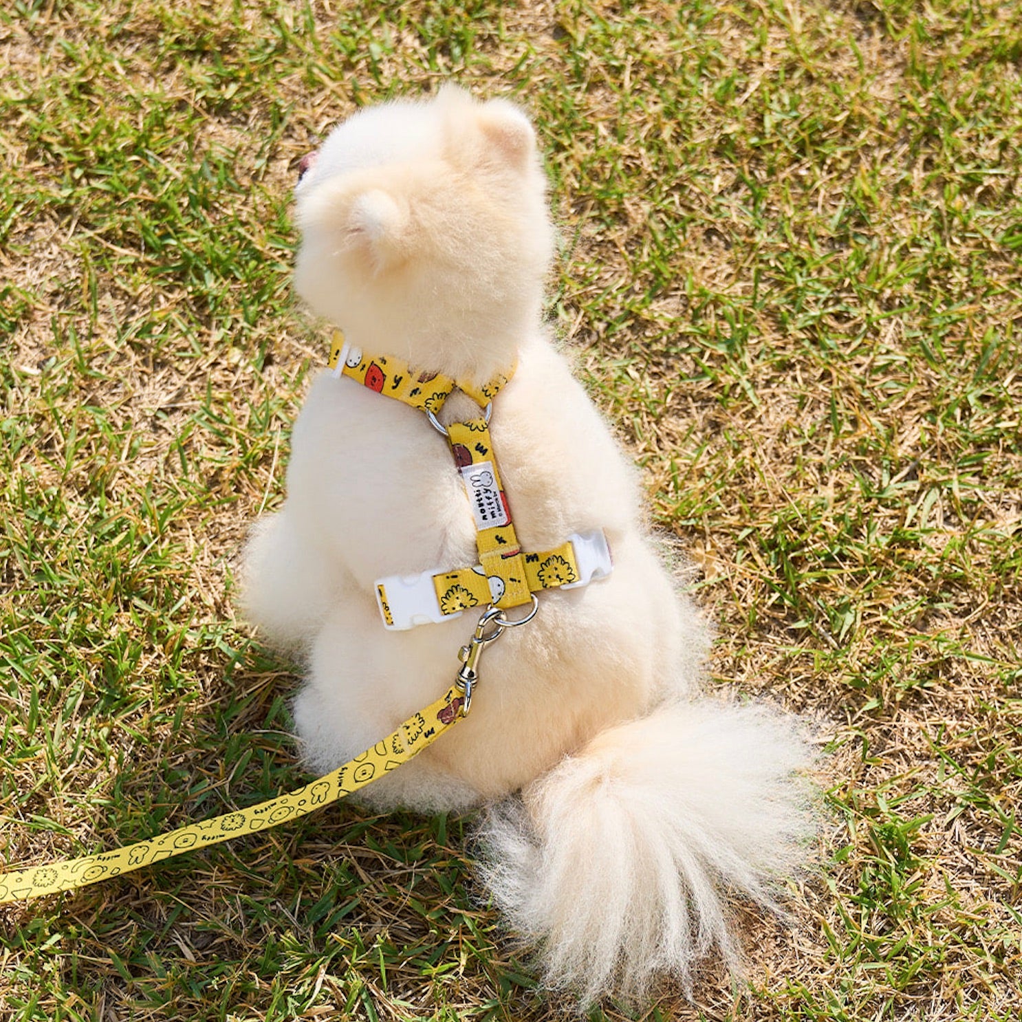 海外犬服 高品質なインポートのドッグウェア通販 