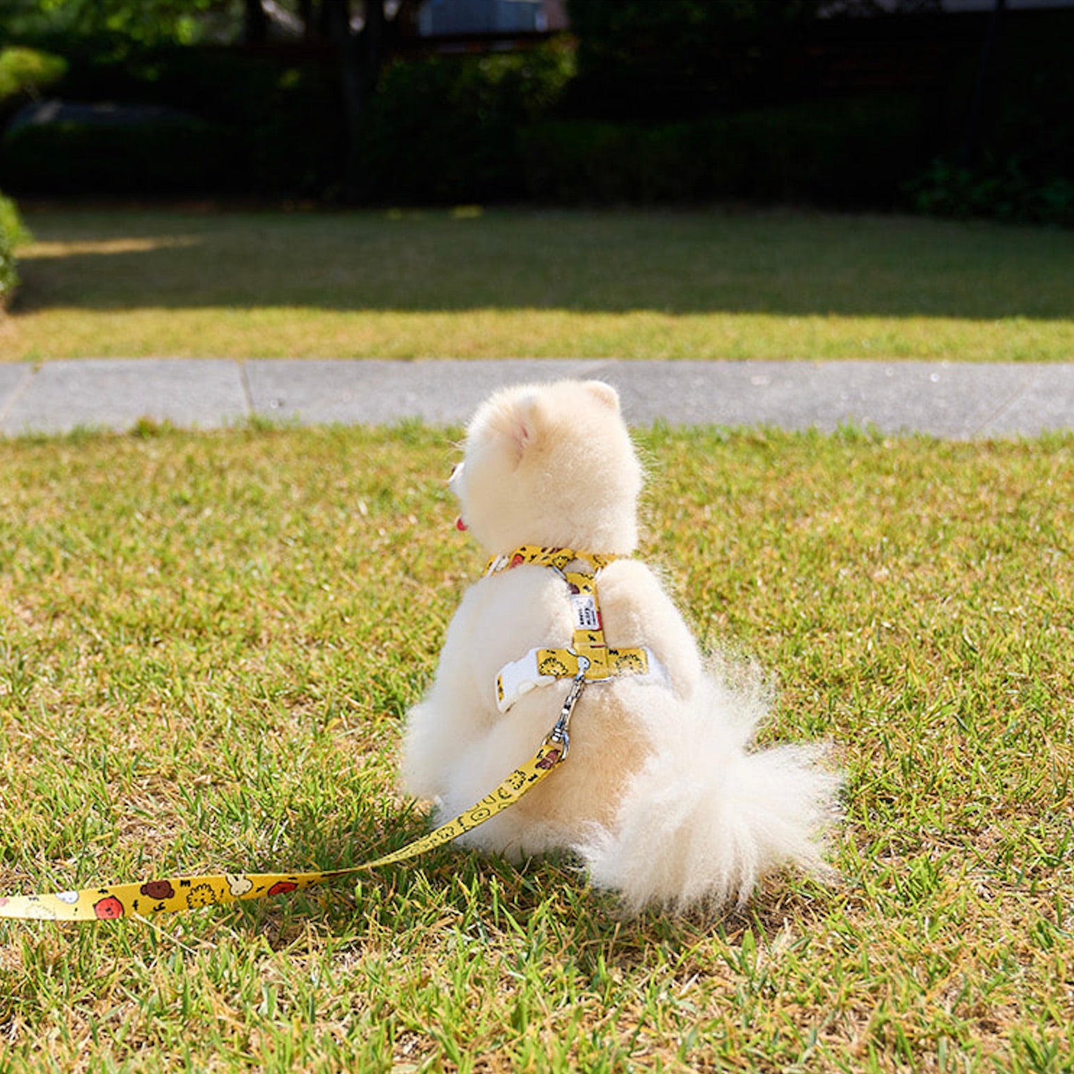 海外犬服 高品質なインポートのドッグウェア通販 