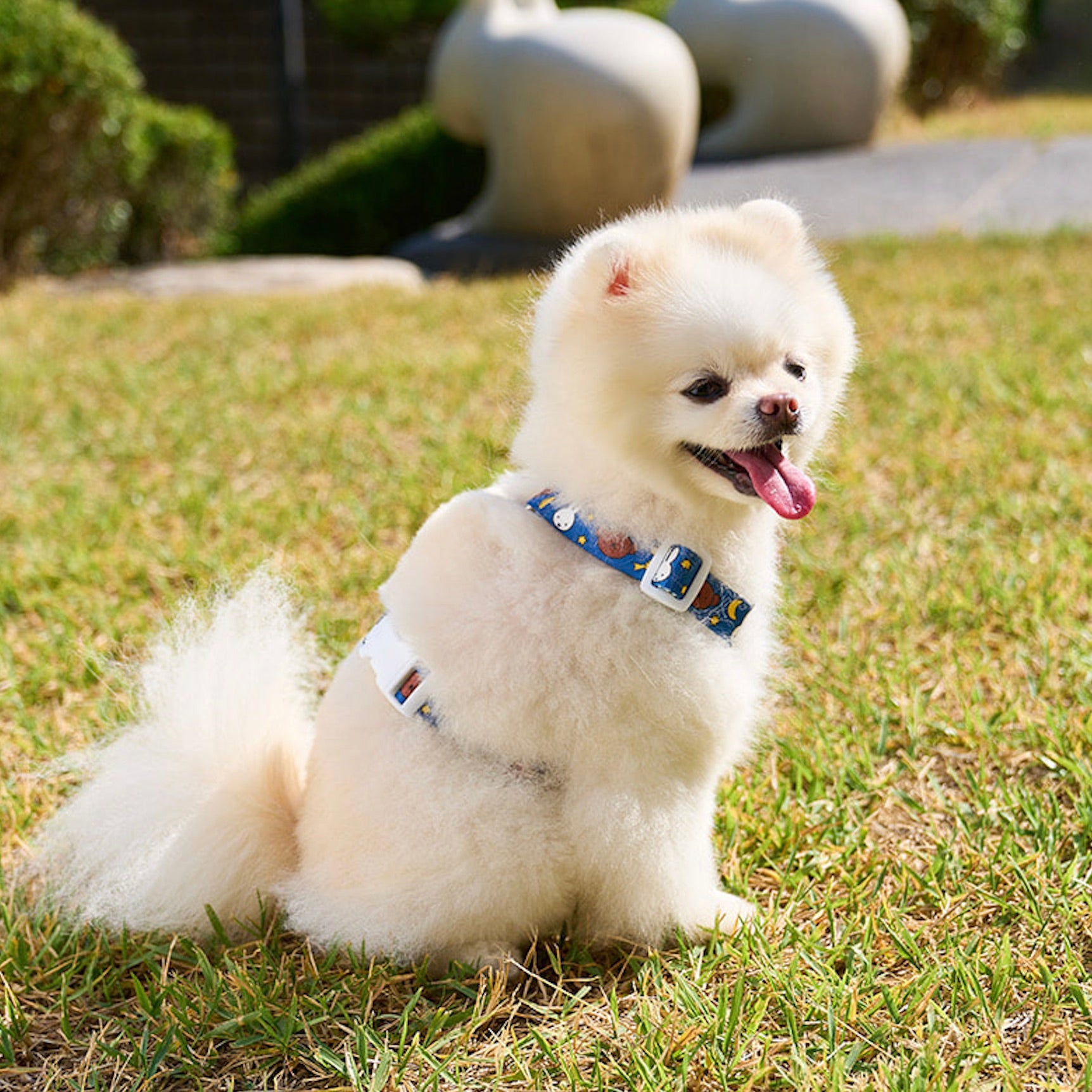 海外犬服 高品質なインポートのドッグウェア通販 