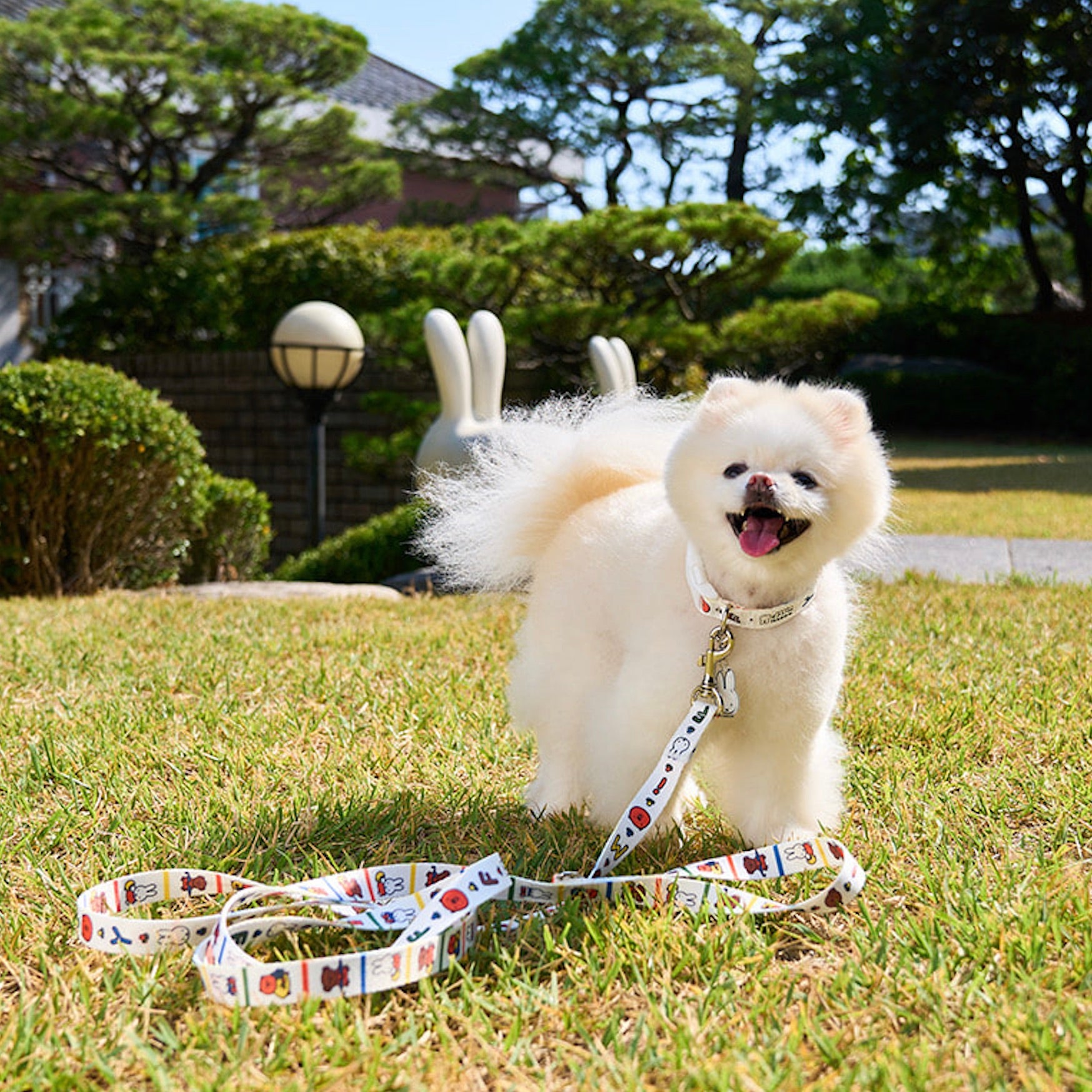 海外犬服 高品質なインポートのドッグウェア通販 
