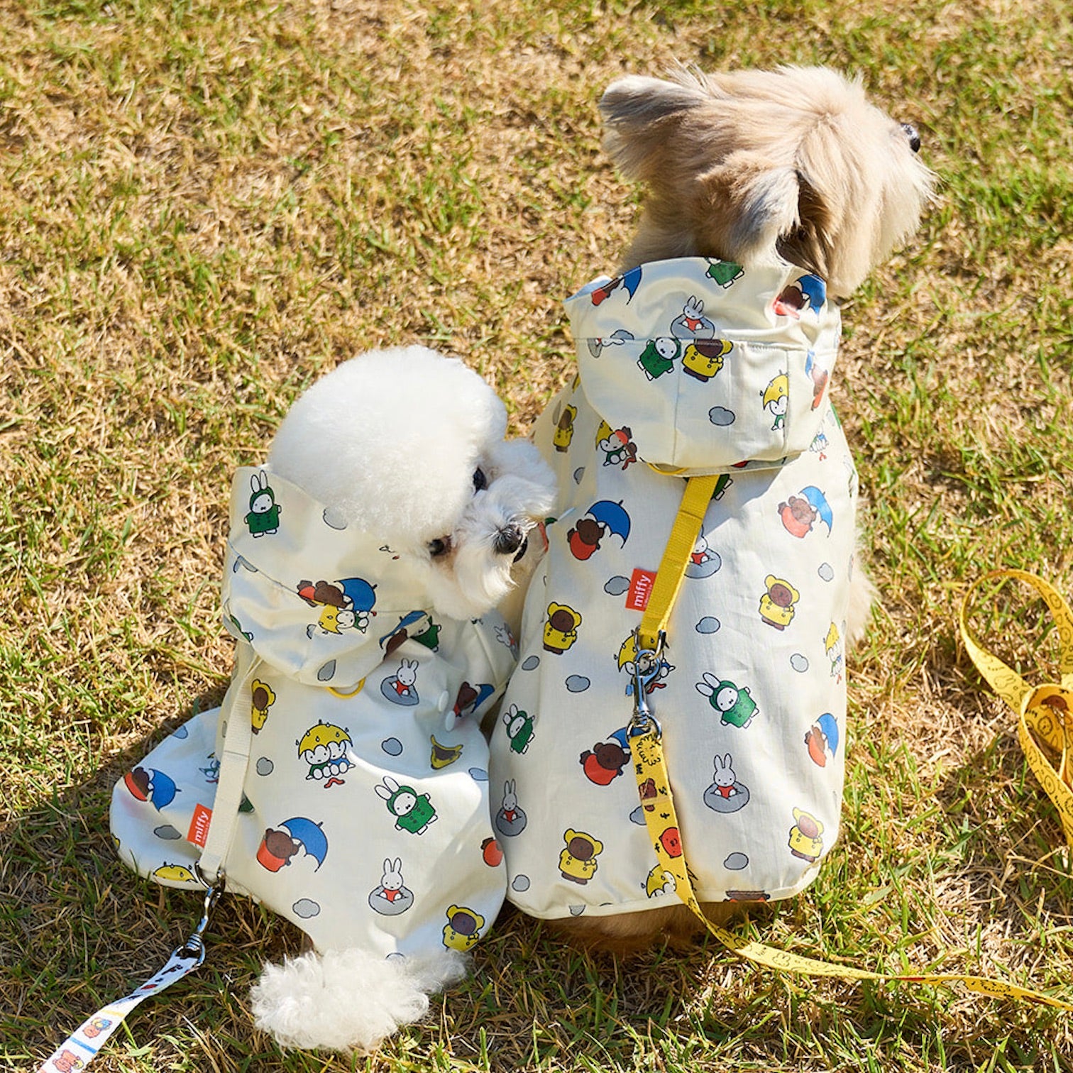 ミッフィー miffy ポンチョnoutti 韓国 犬服 防寒 ドッグウェア 海外犬服 高品質なインポートのドッグウェア通販 