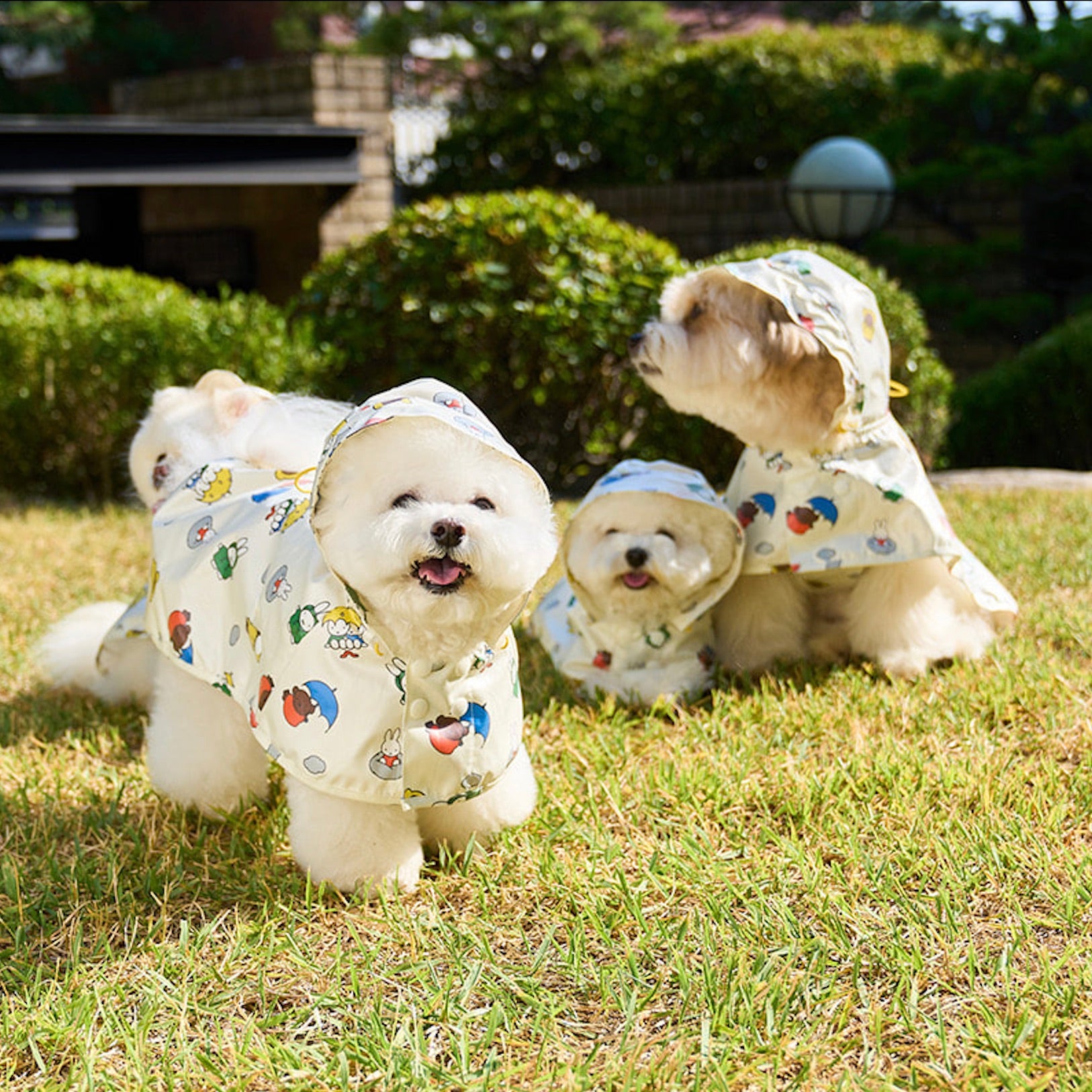 海外犬服 高品質なインポートのドッグウェア通販 