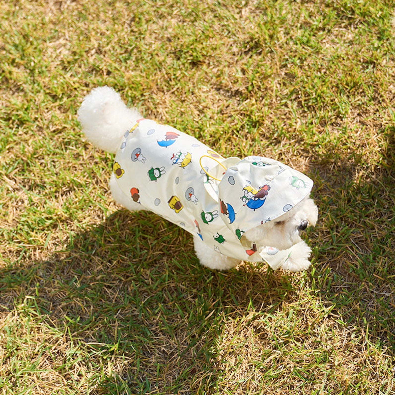 海外犬服 高品質なインポートのドッグウェア通販 