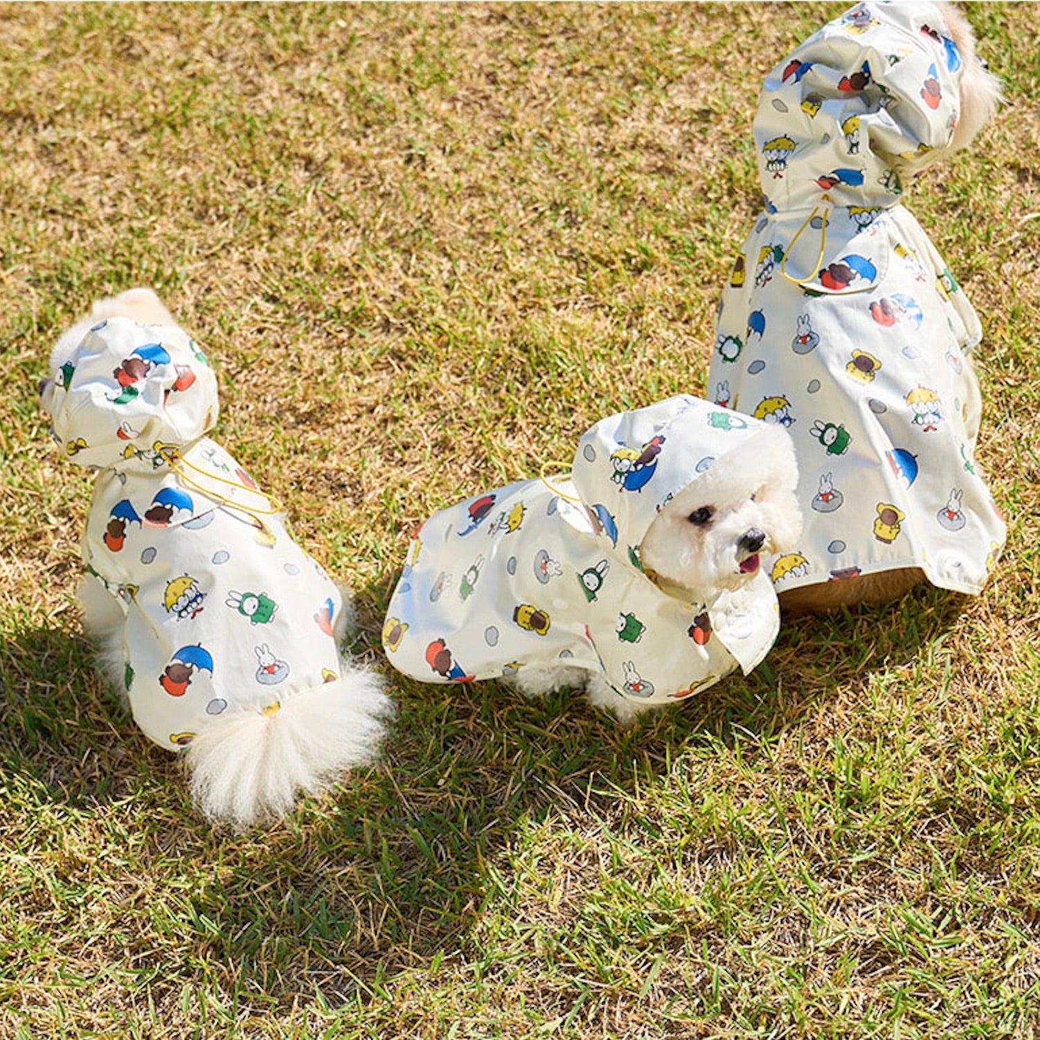 海外犬服 高品質なインポートのドッグウェア通販 