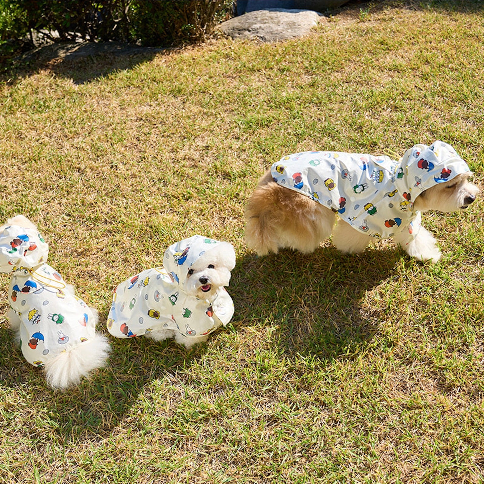 NOUTTI ミッフィーポンチョ Miffy Poncho 海外犬服 高品質なインポートのドッグウェア通販 