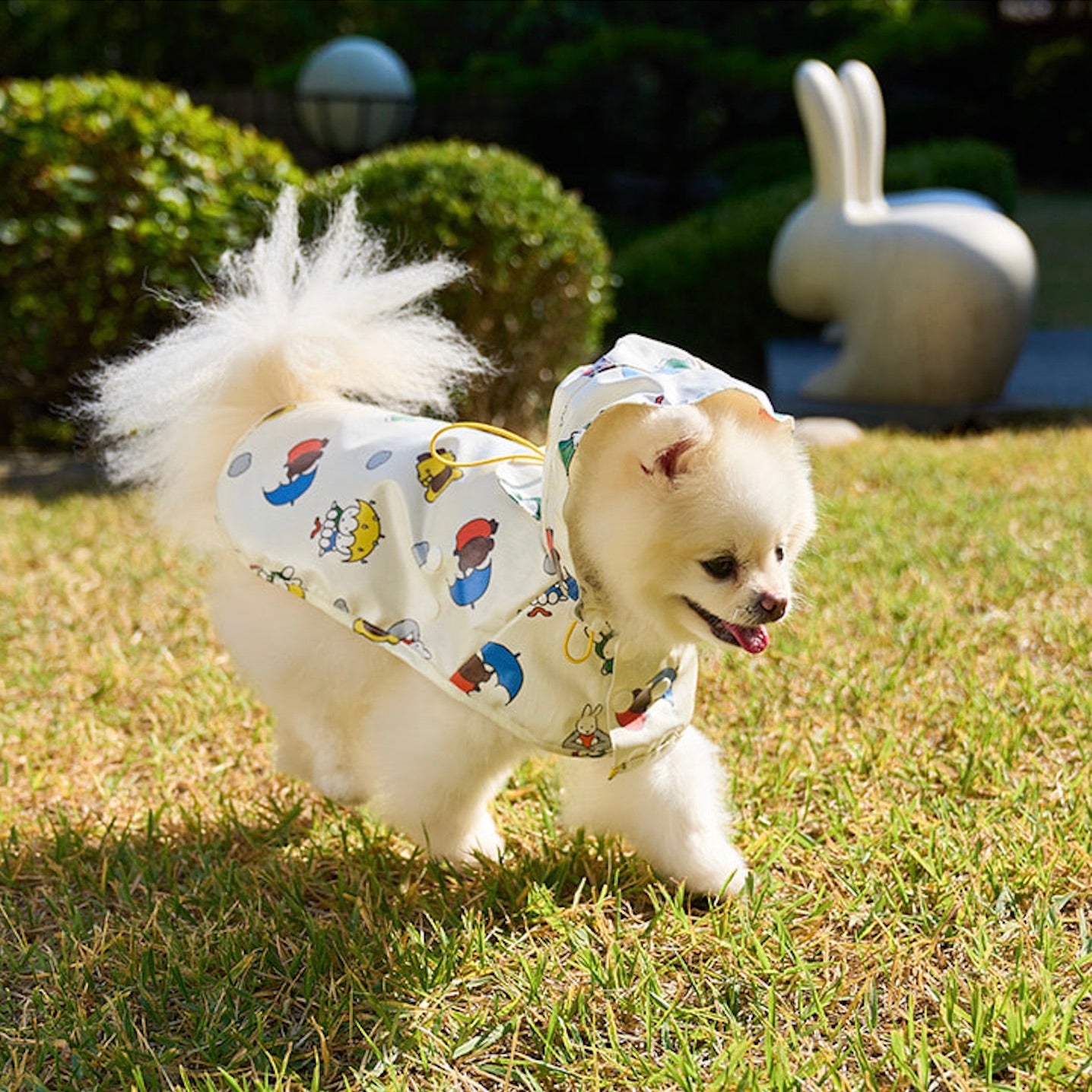 海外犬服 高品質なインポートのドッグウェア通販 