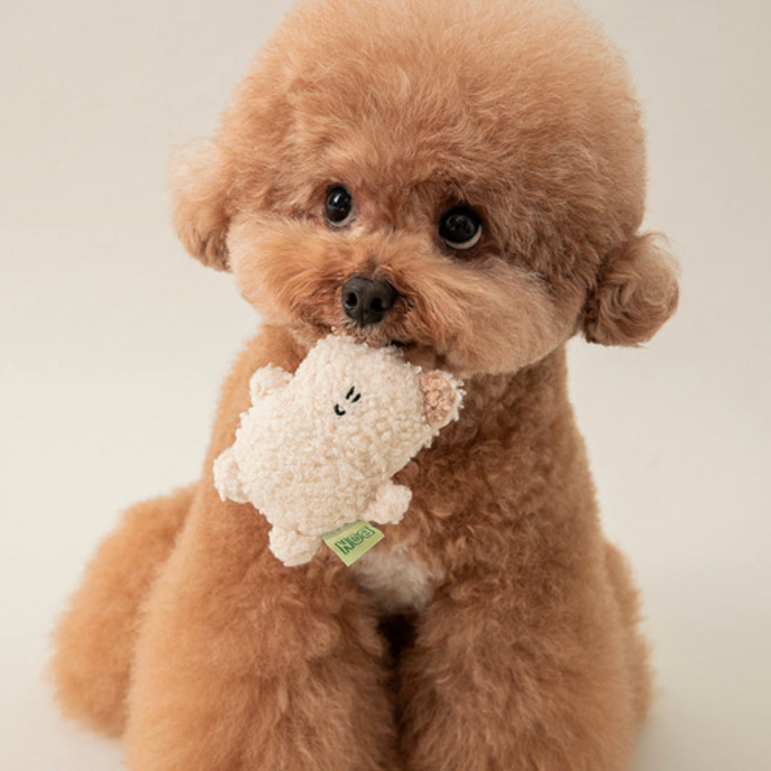 ※予約販売【BITE ME】BonBon Green Furry Friends Mini Squeaky toy