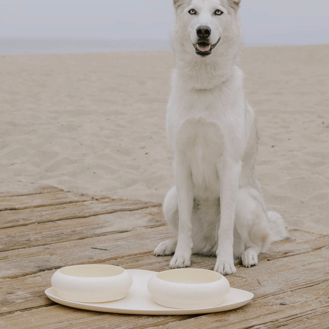 即納【max bone】Bubble Bowls & Mat Set