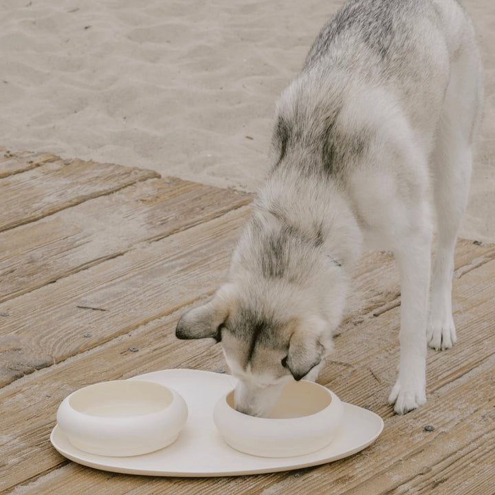 即納【max bone】Bubble Bowls & Mat Set