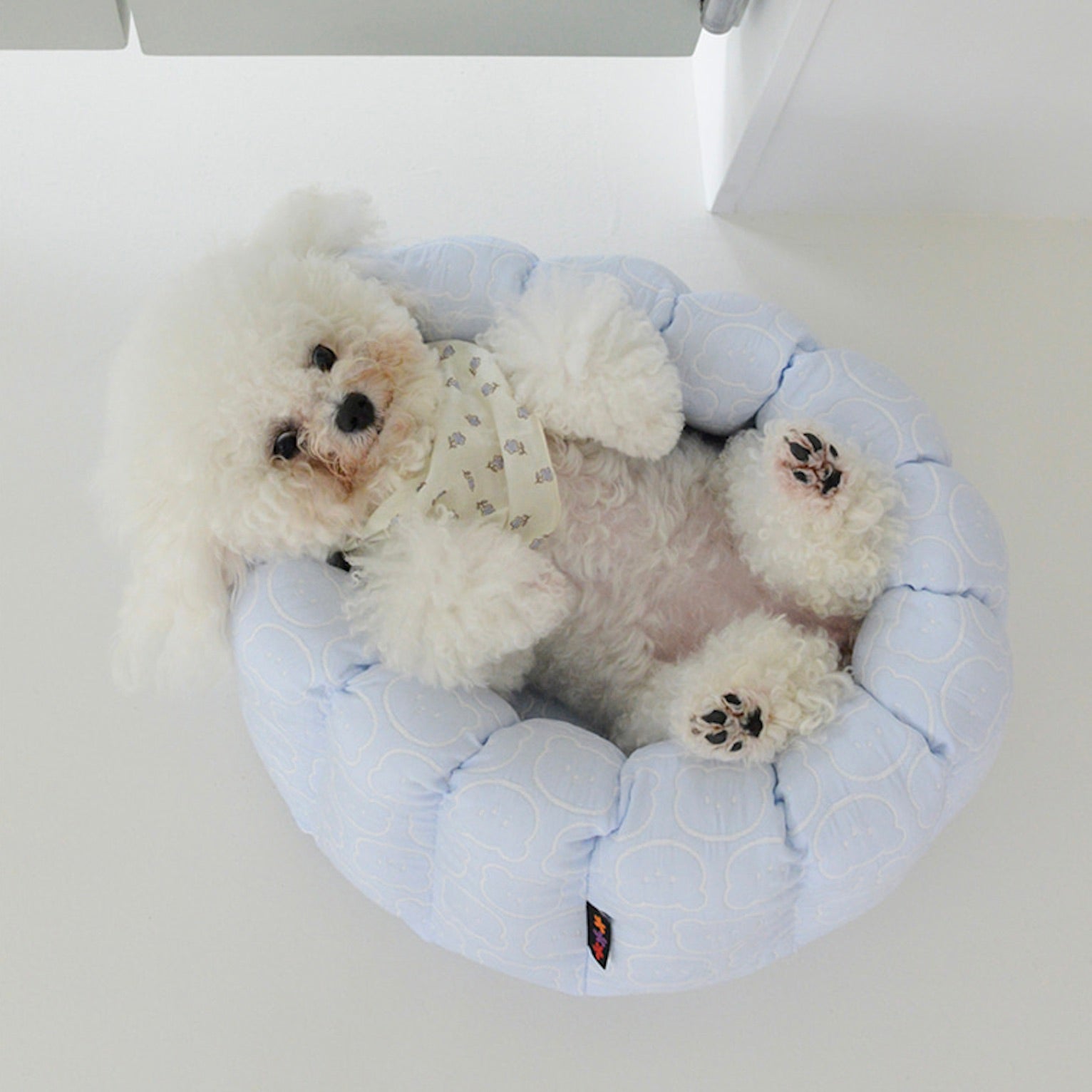 海外犬服 高品質なインポートのドッグウェア通販 