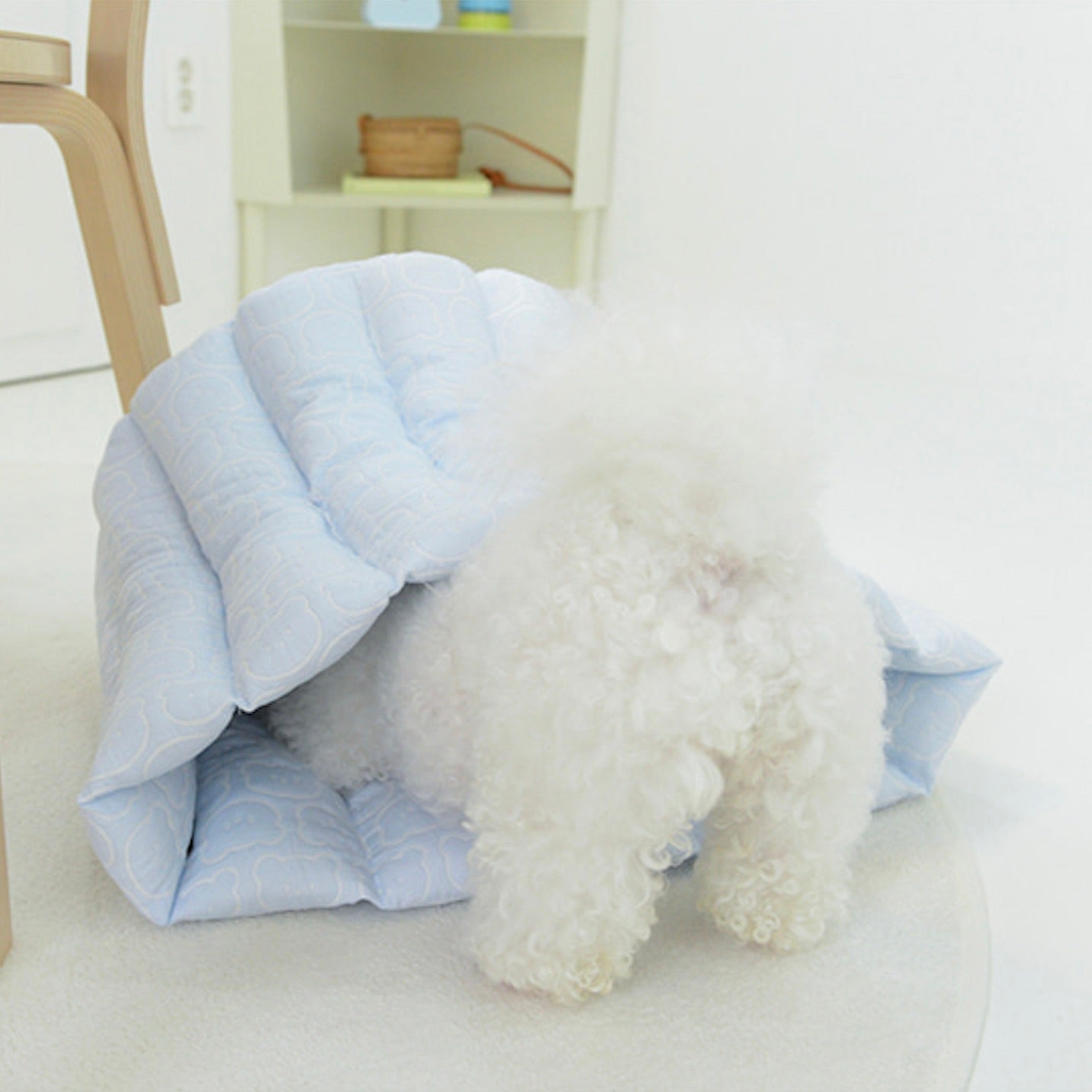 海外犬服 高品質なインポートのドッグウェア通販 