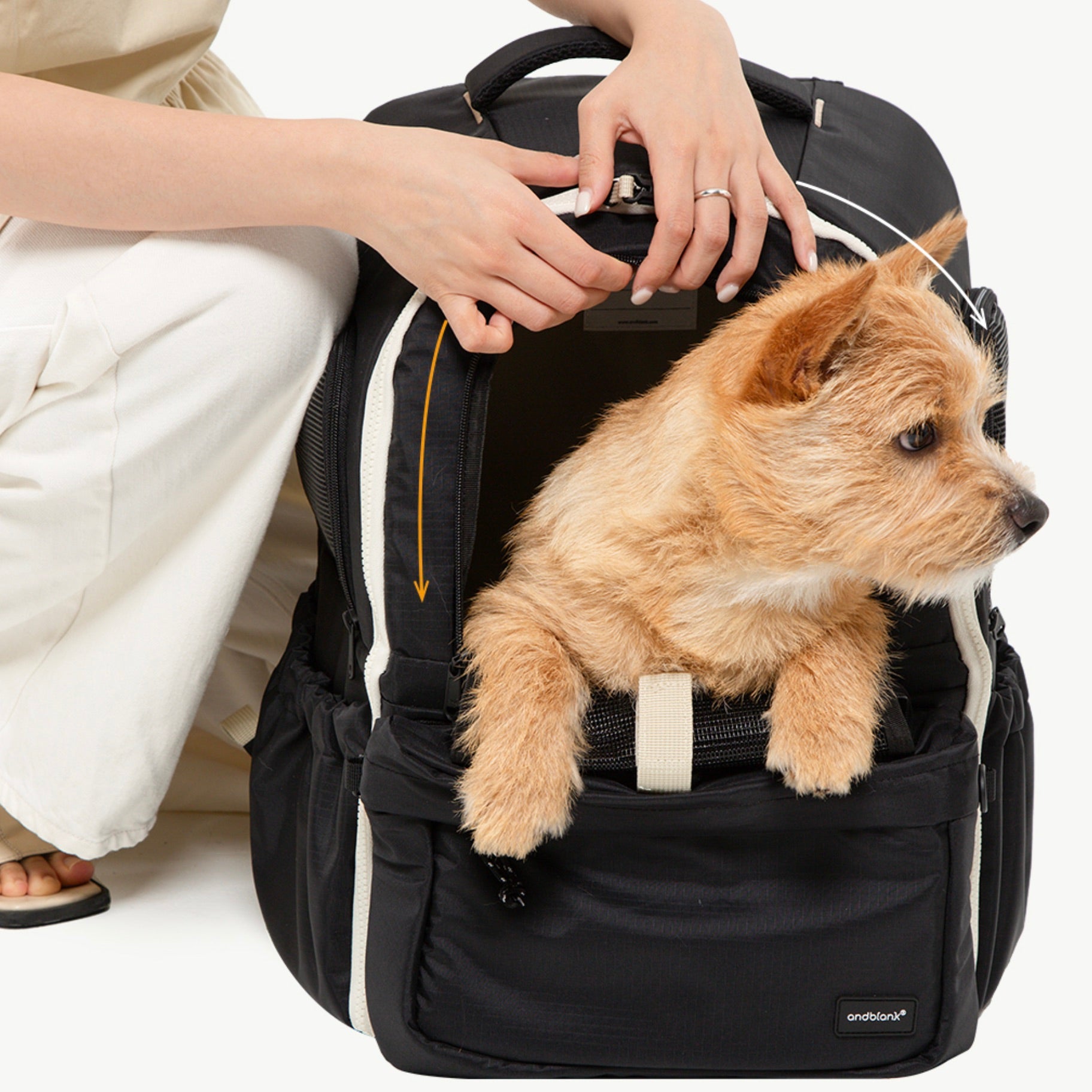 海外犬服 高品質なインポートのドッグウェア通販 