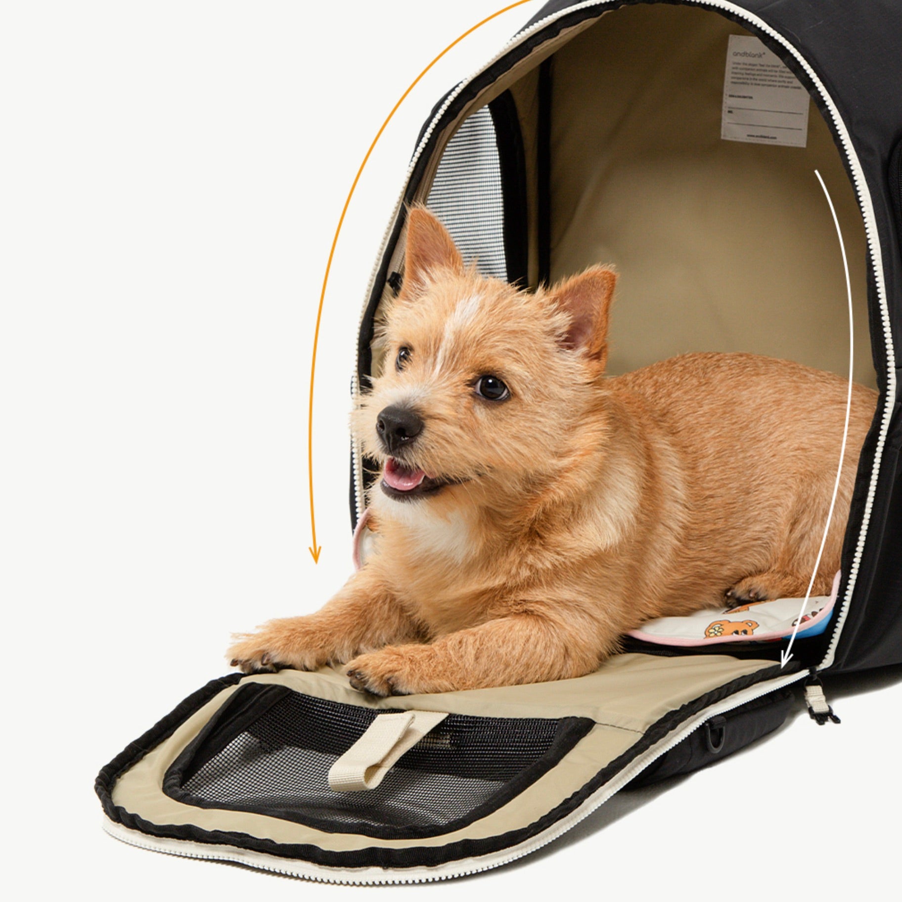 海外犬服 高品質なインポートのドッグウェア通販 