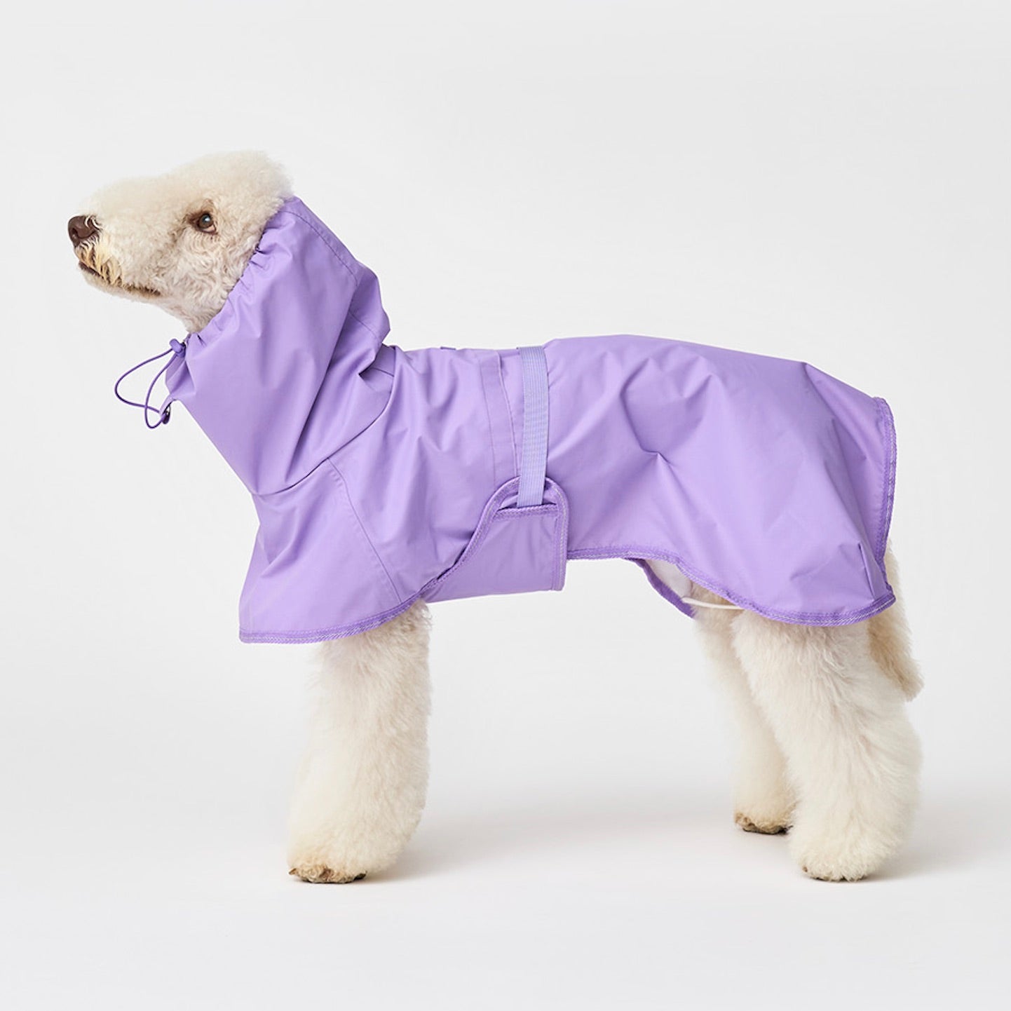icandor｜ドッグウェア（犬服）・犬用品通販「 URBAN DOG TOKYO」公式