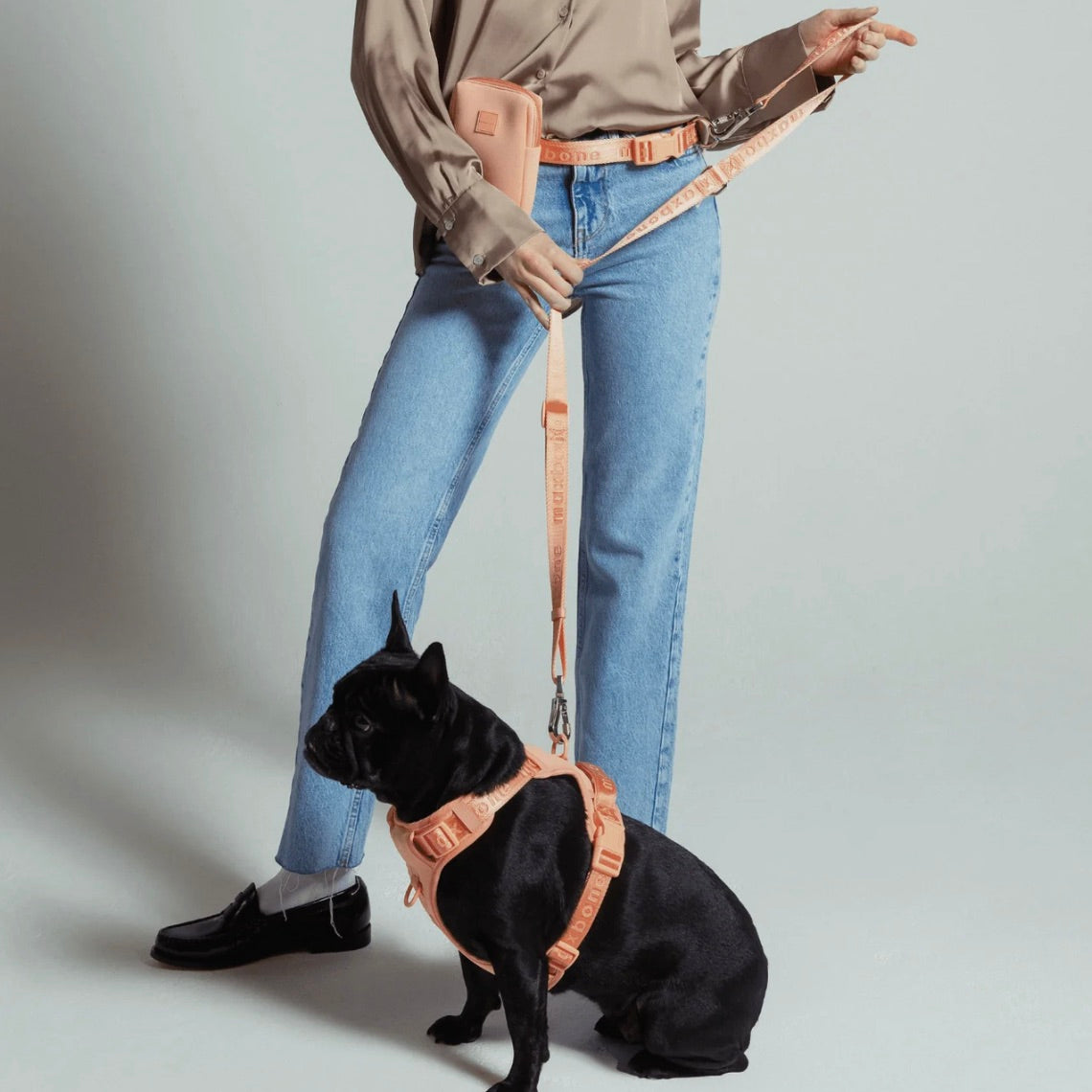 海外犬服 高品質なインポートのドッグウェア通販 