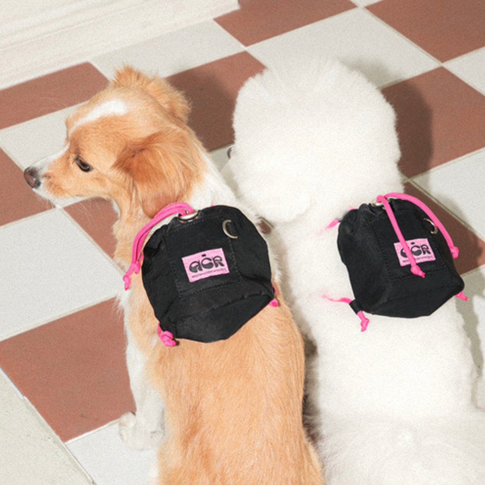 海外犬服 高品質なインポートのドッグウェア通販 