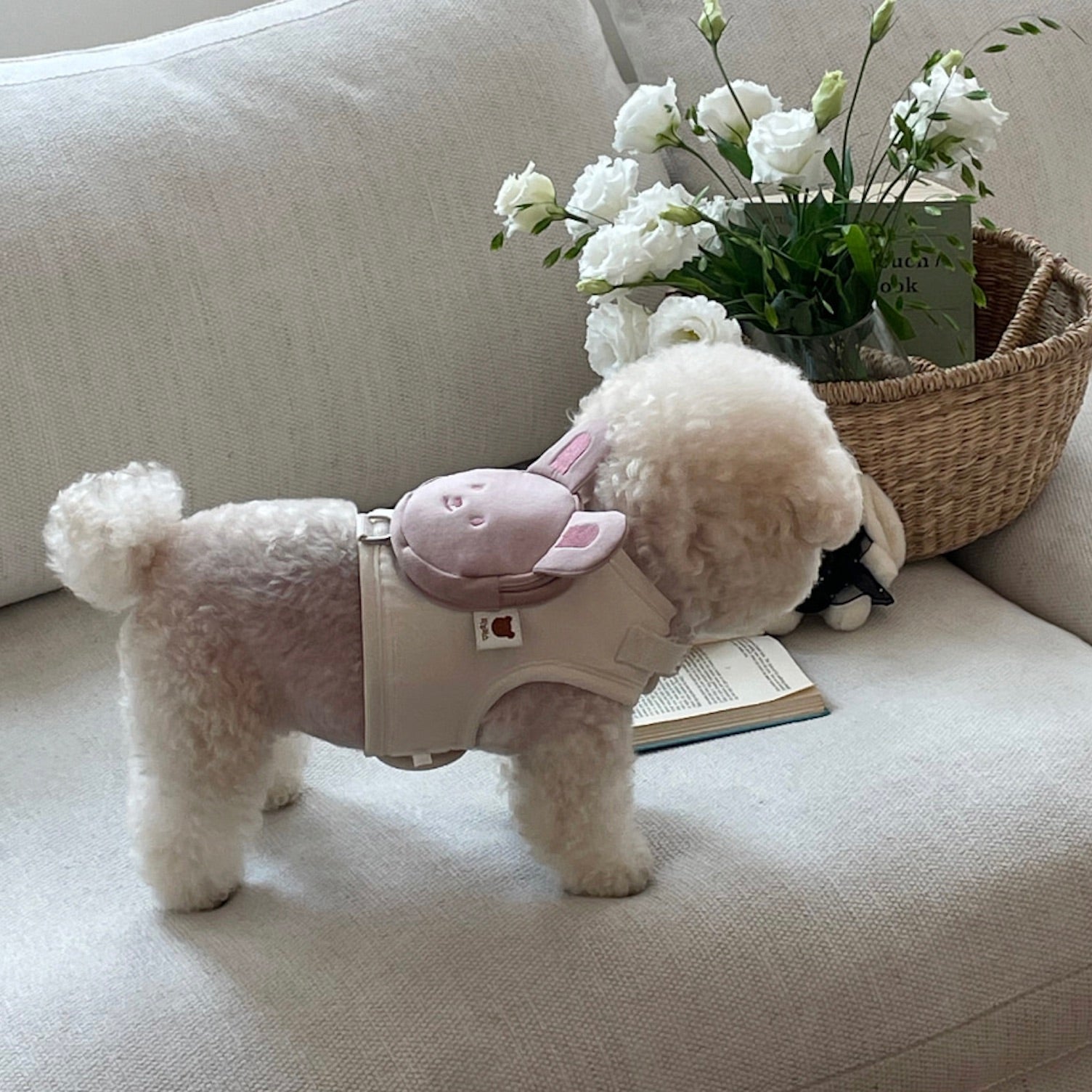 海外犬服 高品質なインポートのドッグウェア通販 