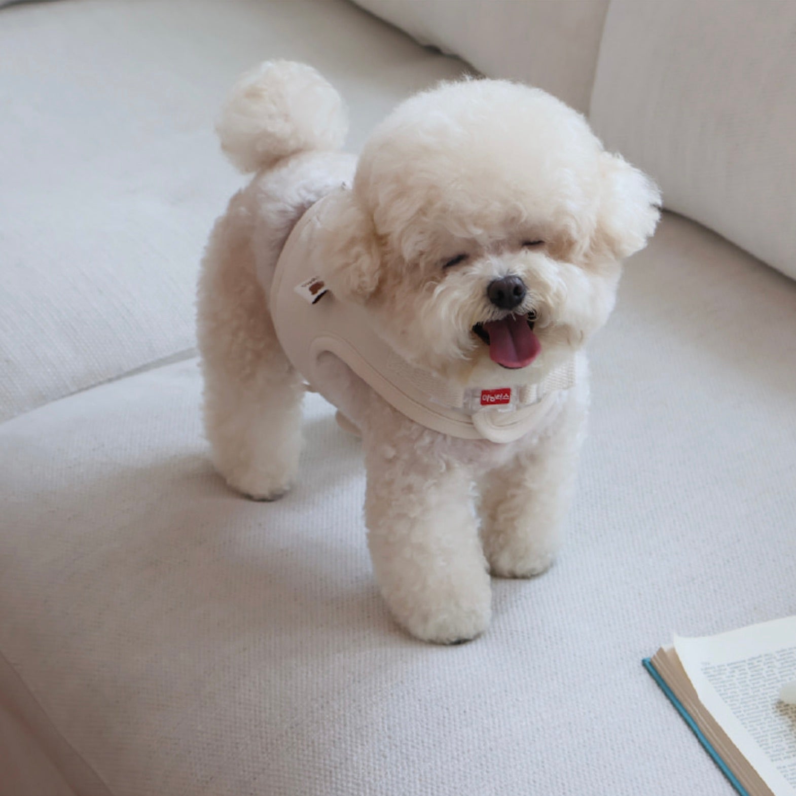 海外犬服 高品質なインポートのドッグウェア通販 