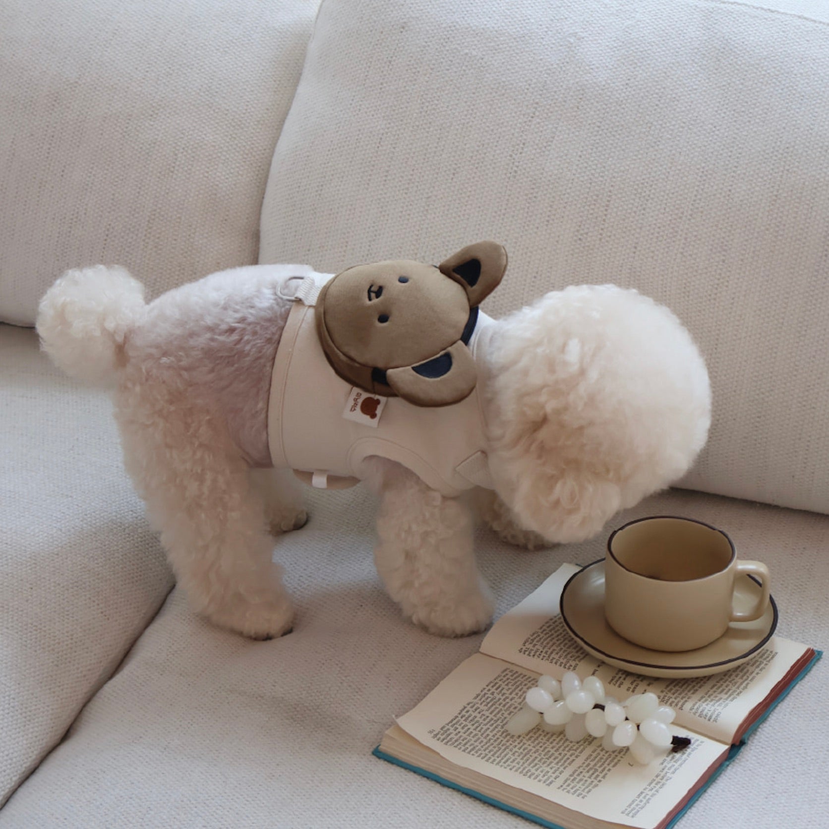 海外犬服 高品質なインポートのドッグウェア通販 