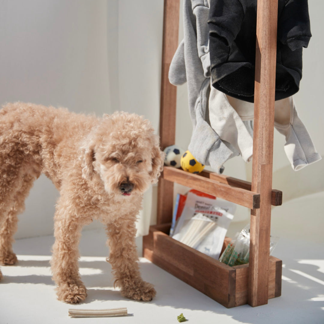 ※予約販売【Amob】Puppy Hanger Toy Wood rack