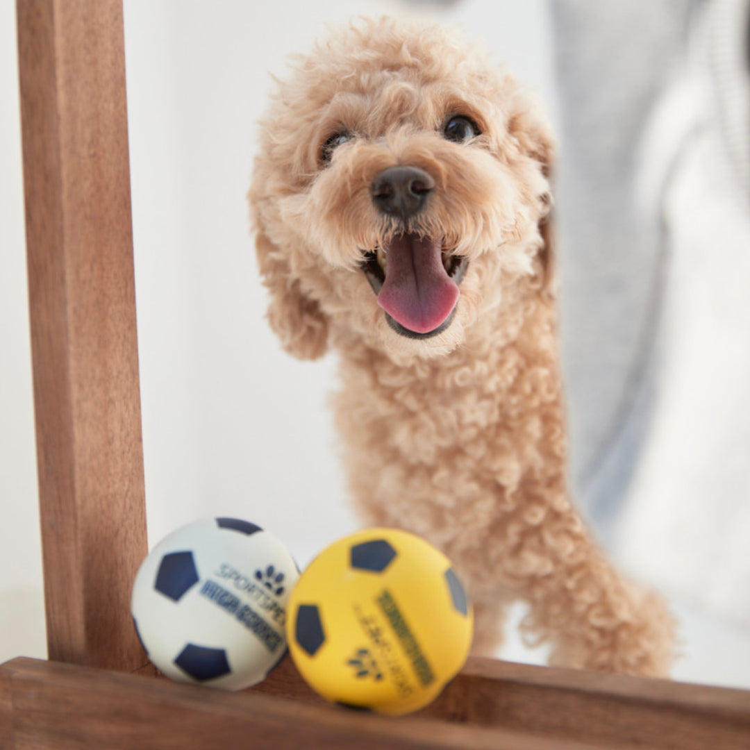 ※予約販売【Amob】Puppy Hanger Toy Wood rack