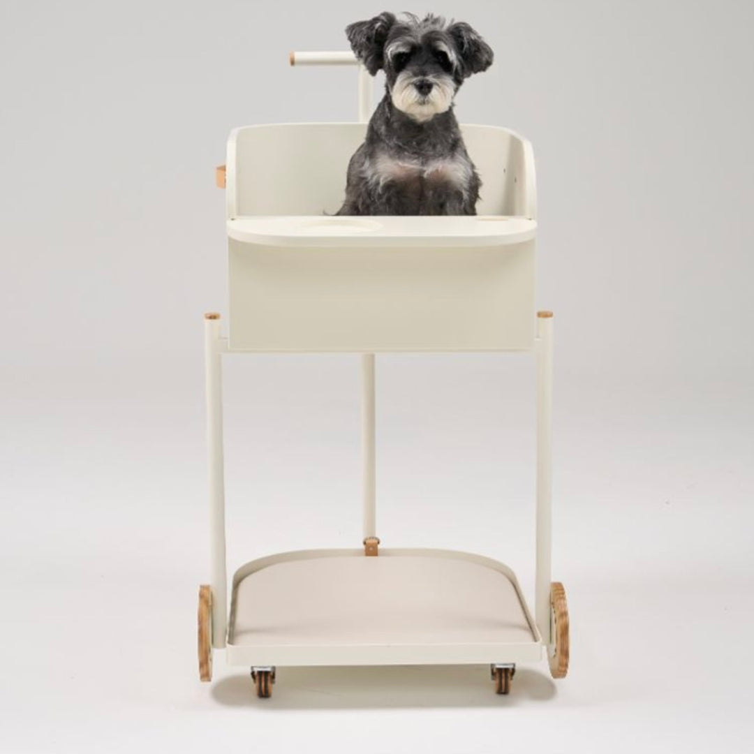 ※予約販売【D.NEAR】Cart Chair Ivory