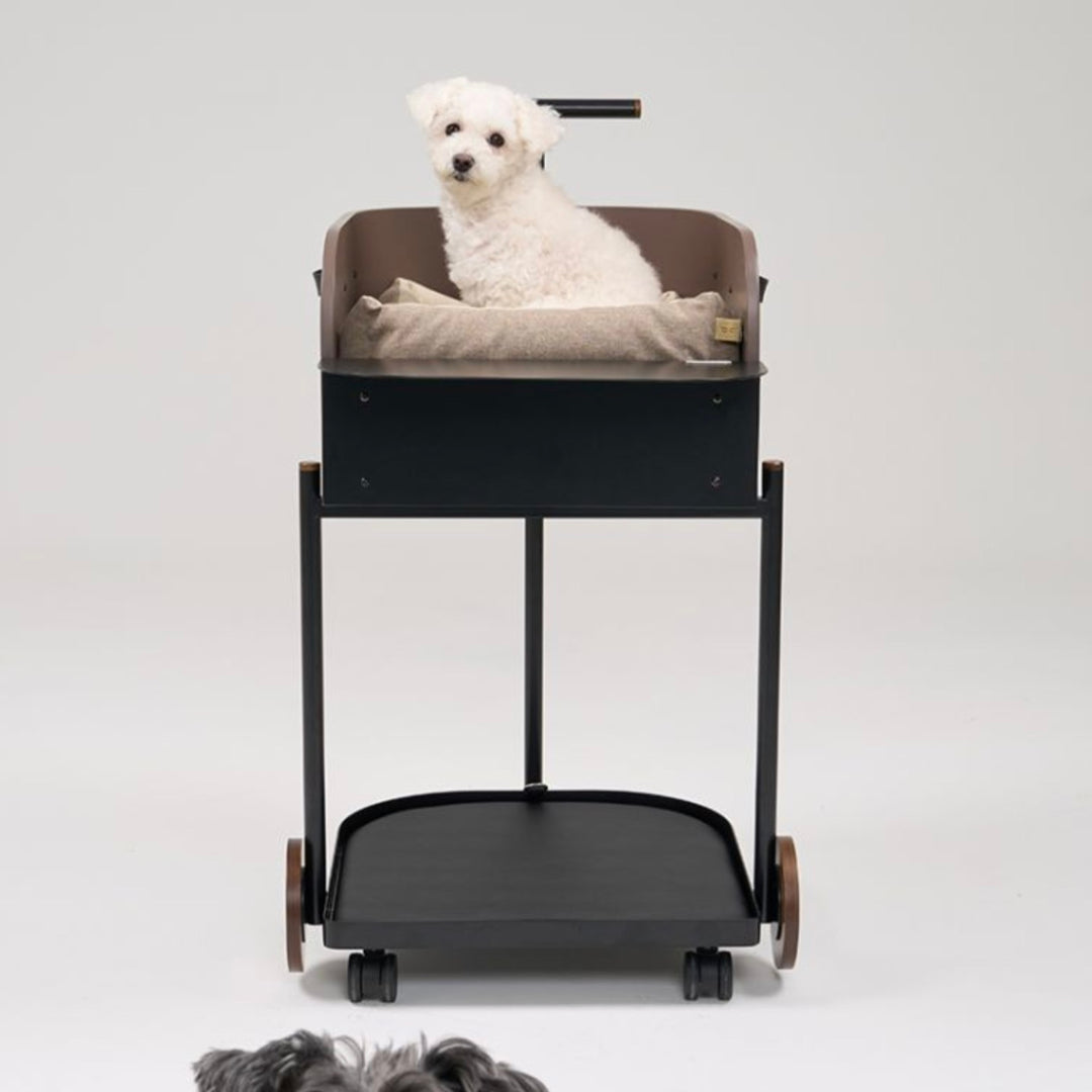 ※予約販売【D.NEAR】Cart Chair Brown