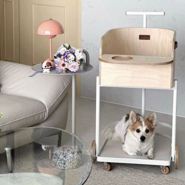 ※予約販売【D.NEAR】Cart Chair White Birch