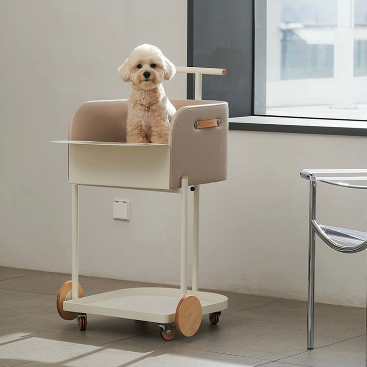 ※予約販売【D.NEAR】Cart Chair Brown