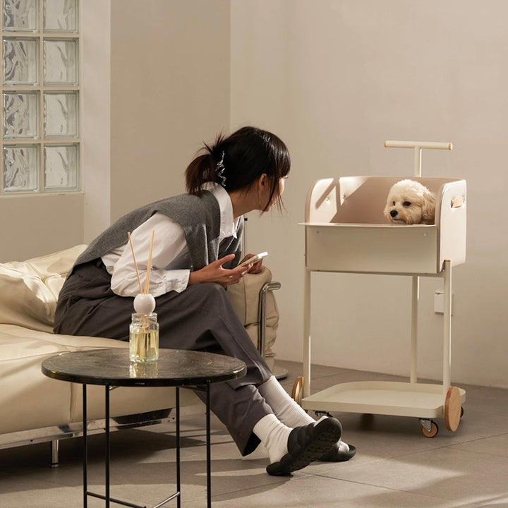 ※予約販売【D.NEAR】Cart Chair Sofa Ivory