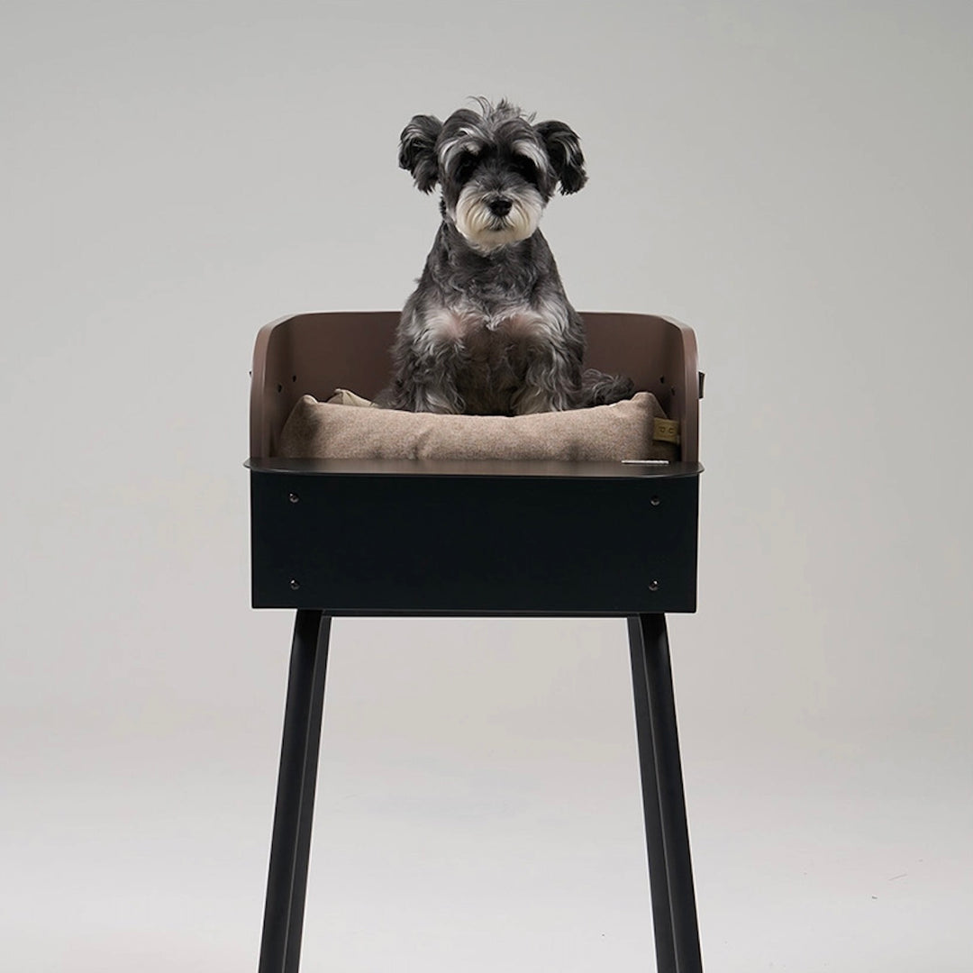 ※予約販売【D.NEAR】Modern Chair Brown