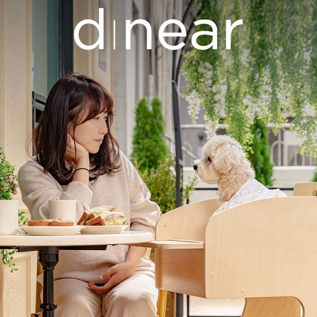 ※予約販売【D.NEAR】Original Chair