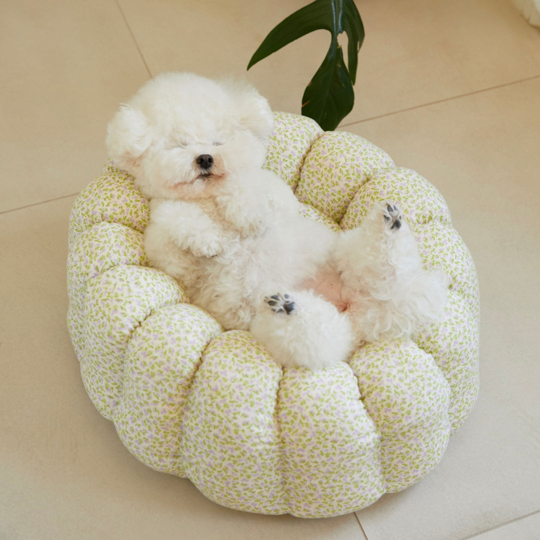※予約販売【azalea】Canele Cushion（New Flower Violet）