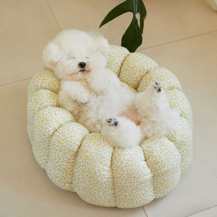 ※予約販売【azalea】Canele Cushion（New Flower Violet）