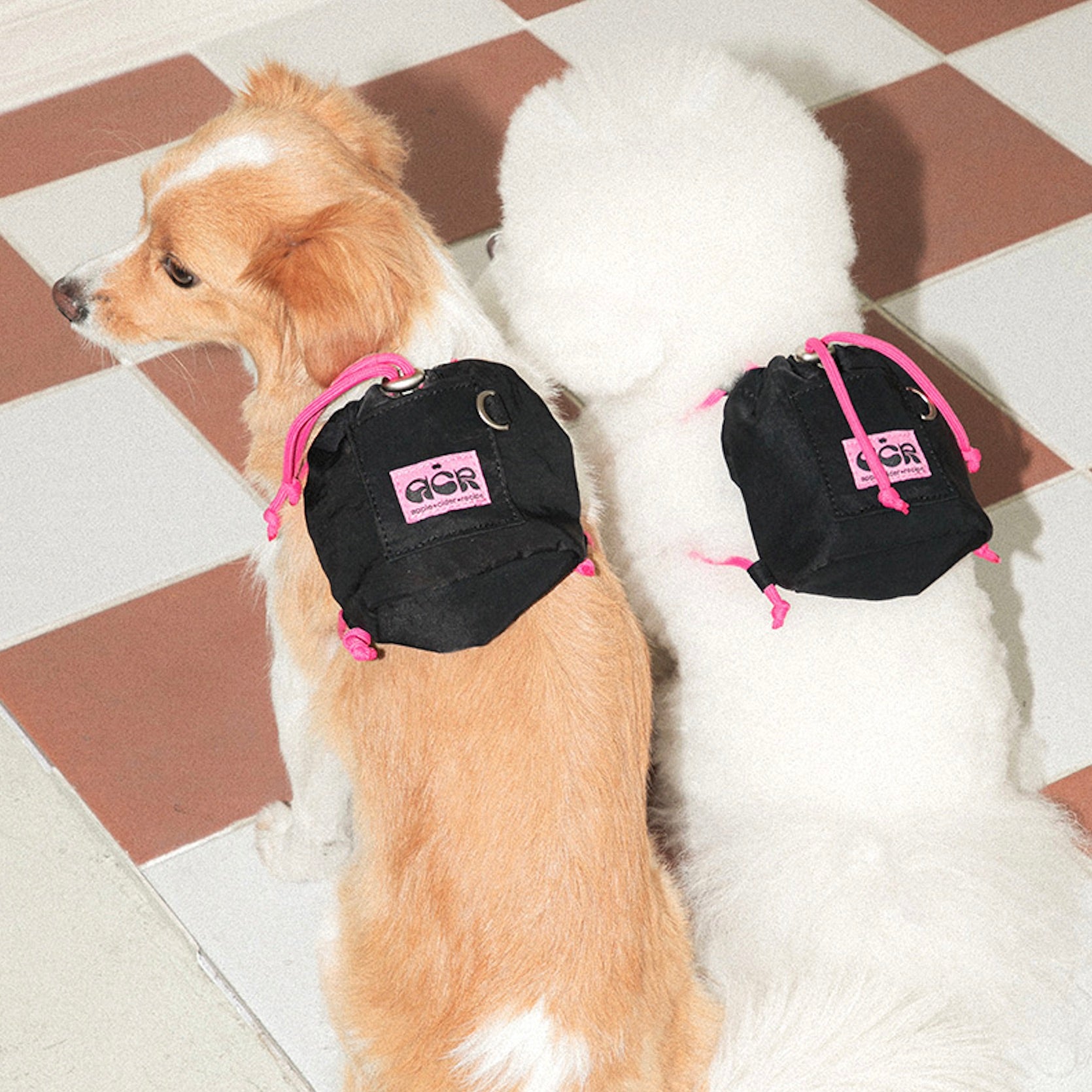 海外犬服 高品質なインポートのドッグウェア通販 