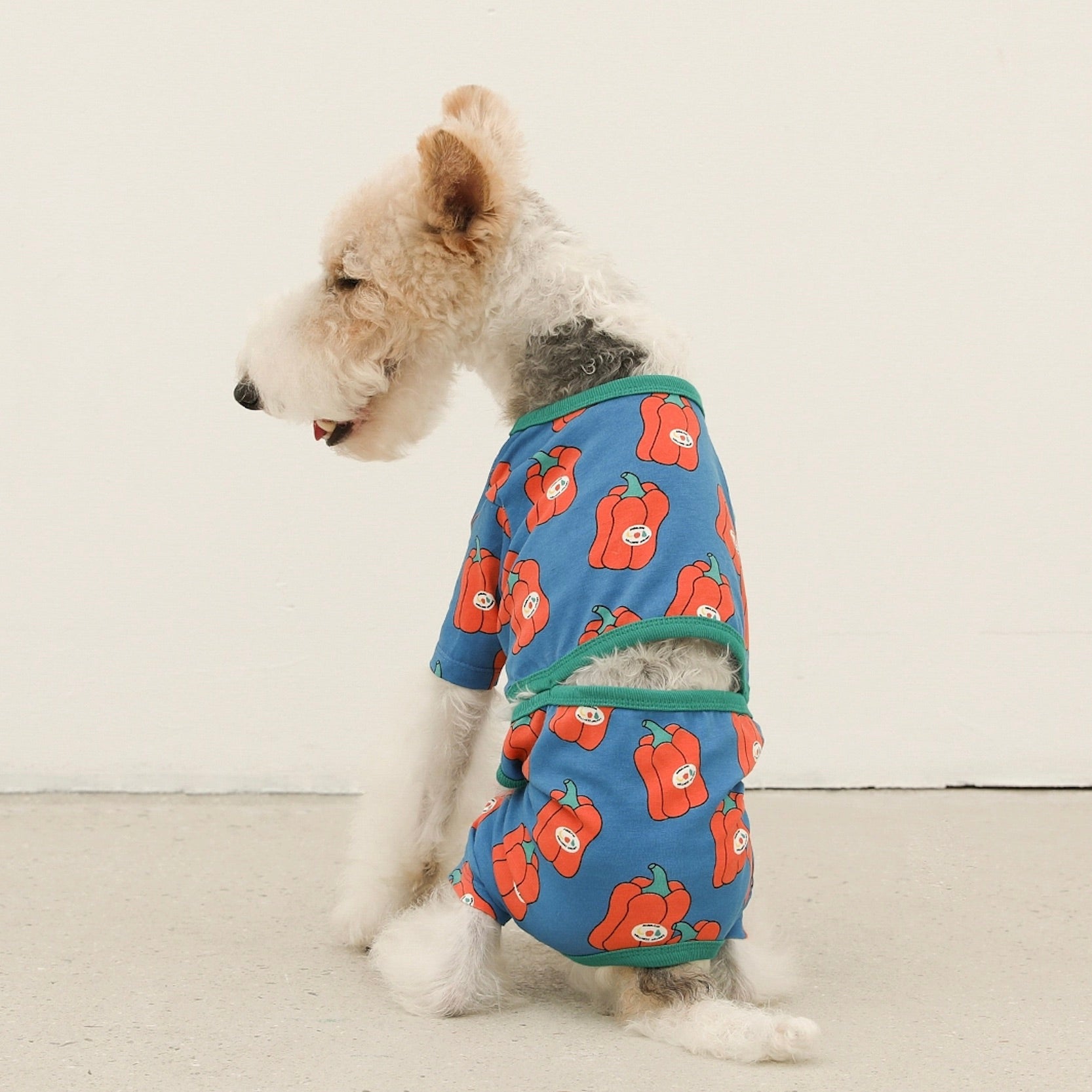 海外犬服 高品質なインポートのドッグウェア通販 