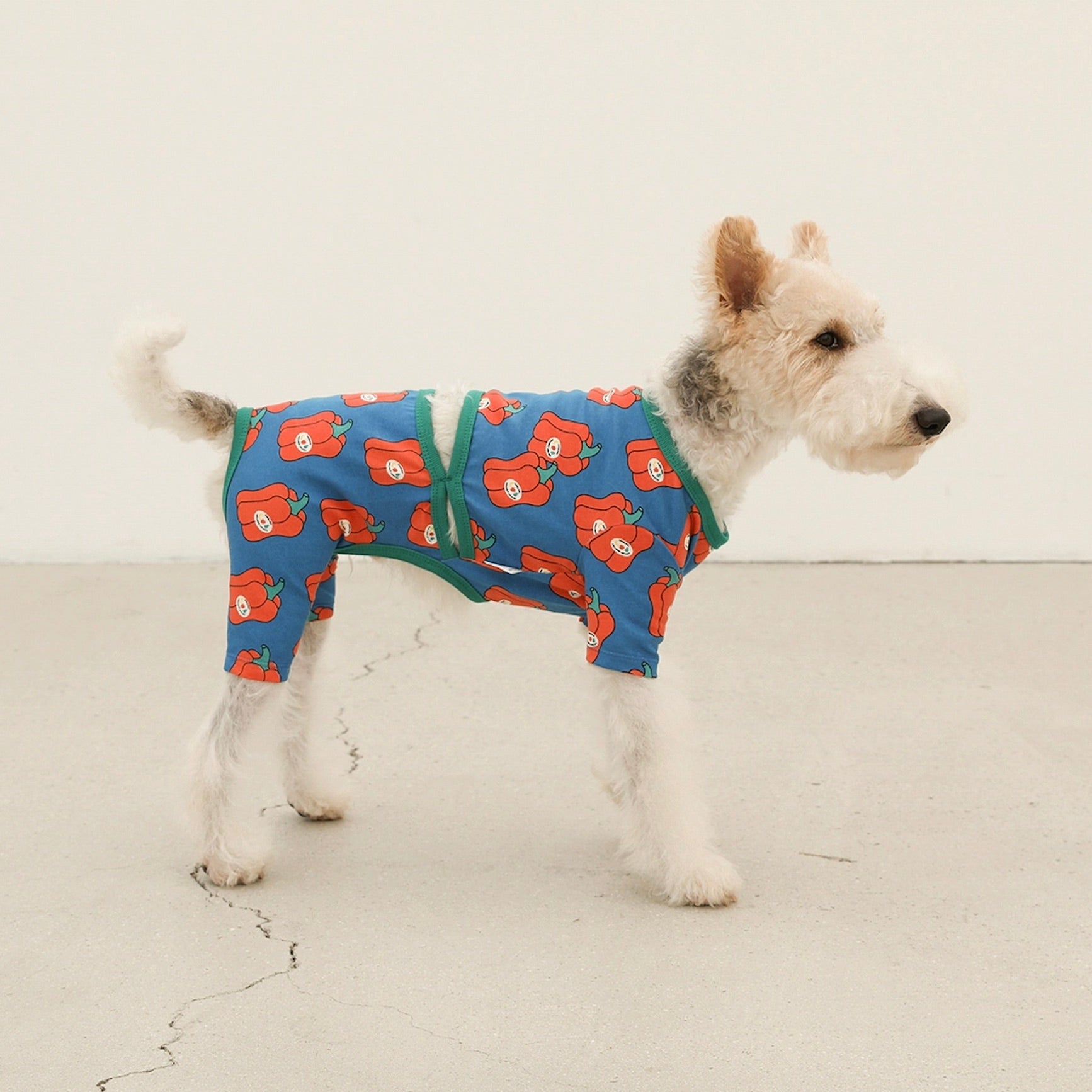 海外犬服 高品質なインポートのドッグウェア通販 