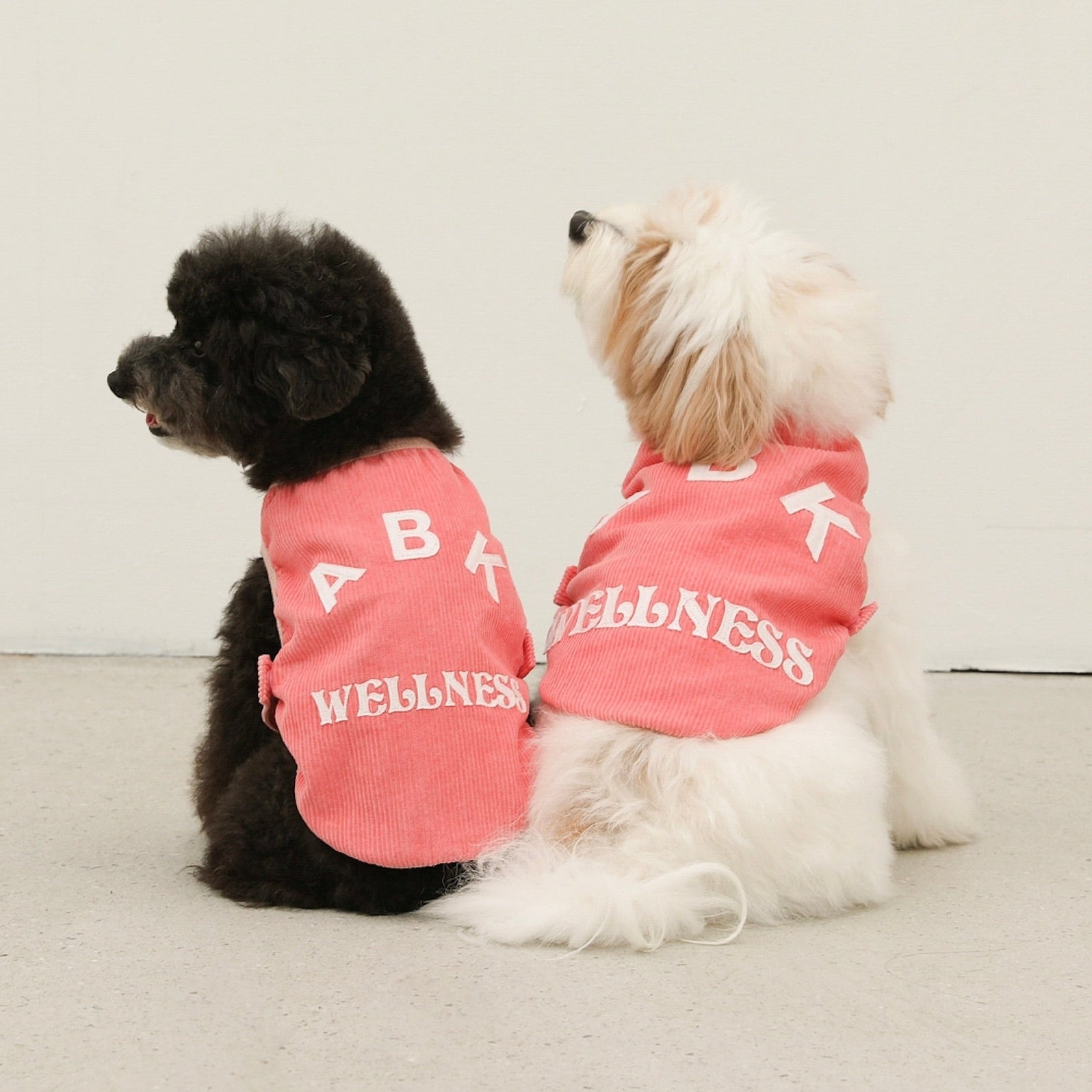 海外犬服 高品質なインポートのドッグウェア通販 