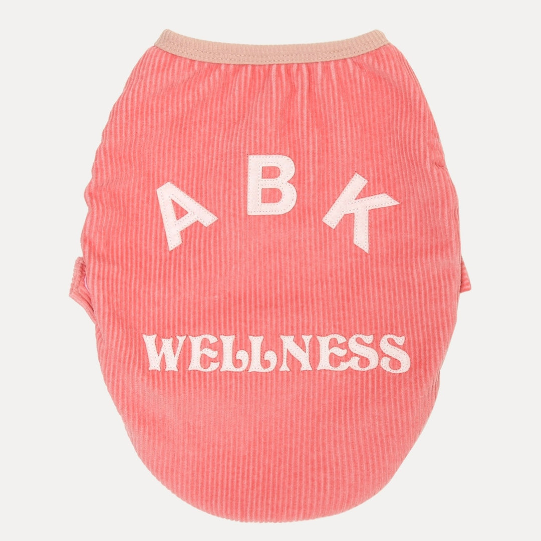 ※予約販売【andblank】ABK Wellness Snap Pullover