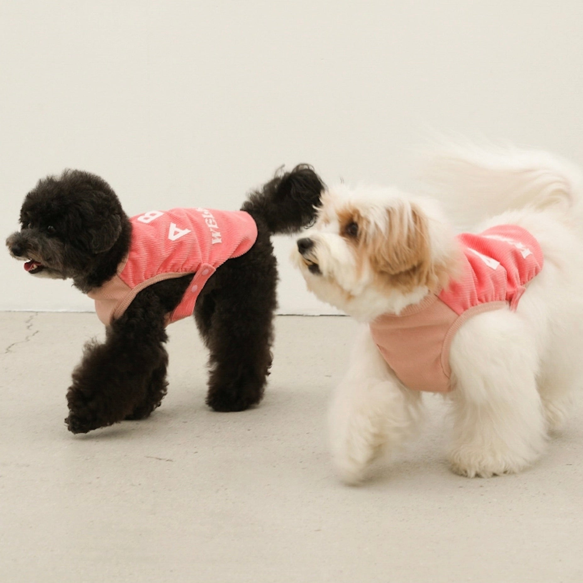 海外犬服 高品質なインポートのドッグウェア通販 