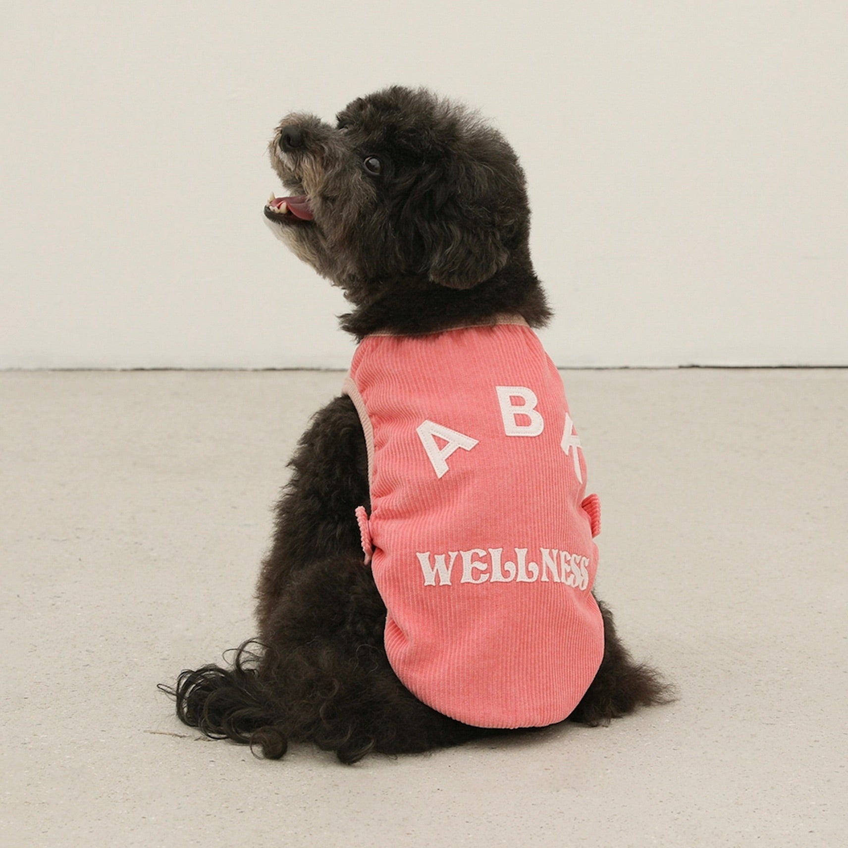 海外犬服 高品質なインポートのドッグウェア通販 