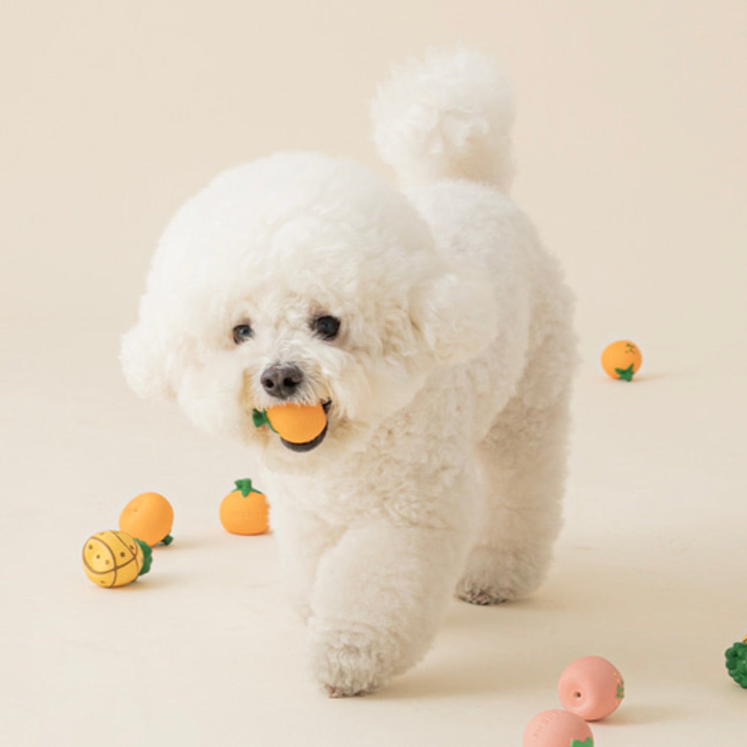 海外犬服 高品質なインポートのドッグウェア通販 