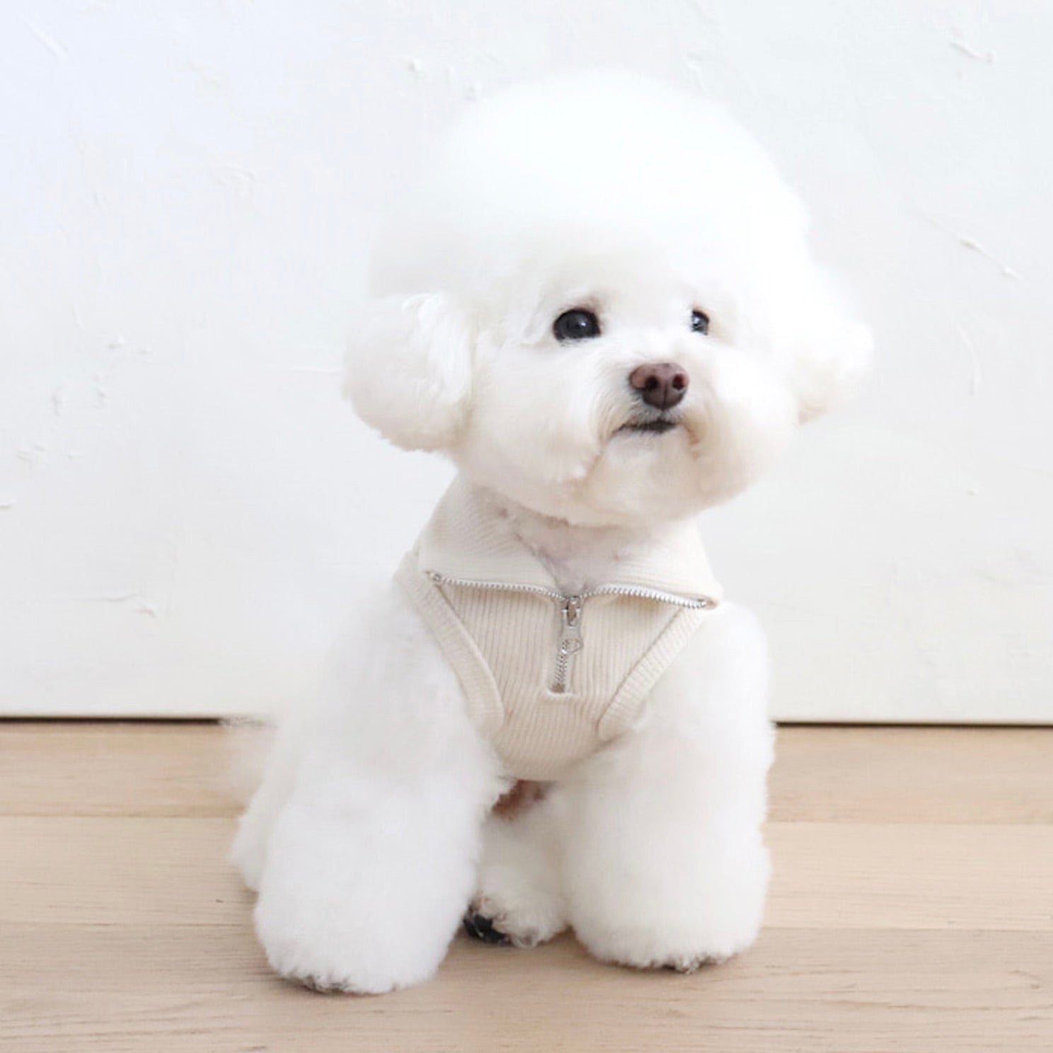海外犬服 高品質なインポートのドッグウェア通販 URBAN DOG TOKYO