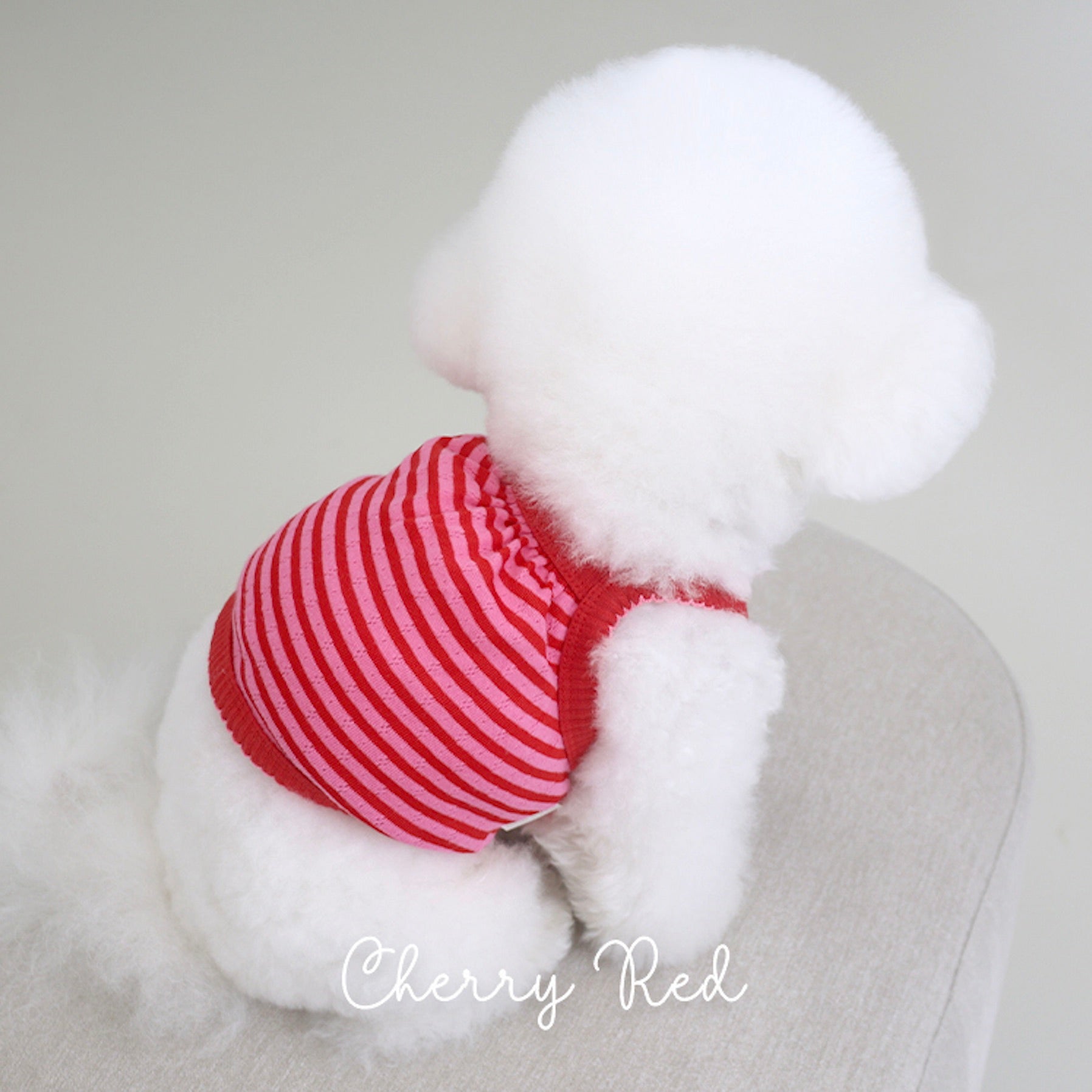 赤いチェリーの犬の服 【公式通販】