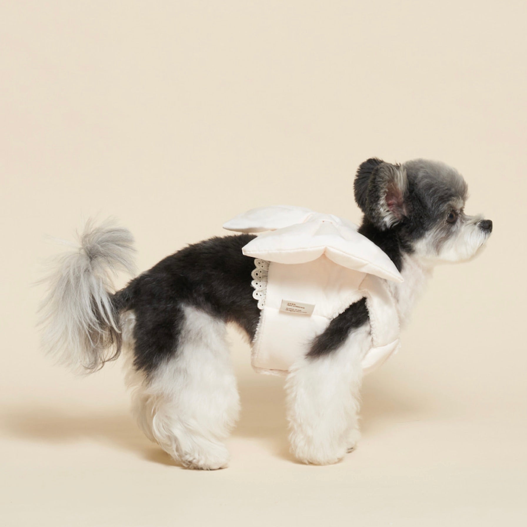 韓国　meaninglessリボンハーネス　犬　2点 海外犬服 高品質なインポートのドッグウェア通販 