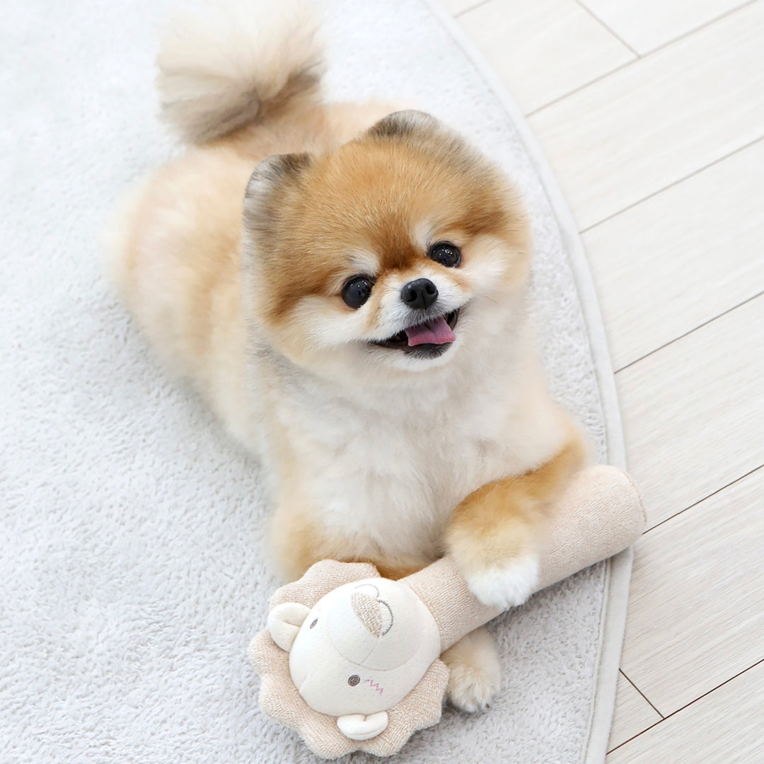 即納【ITS DOG】Organic Bath Toy（Lion）