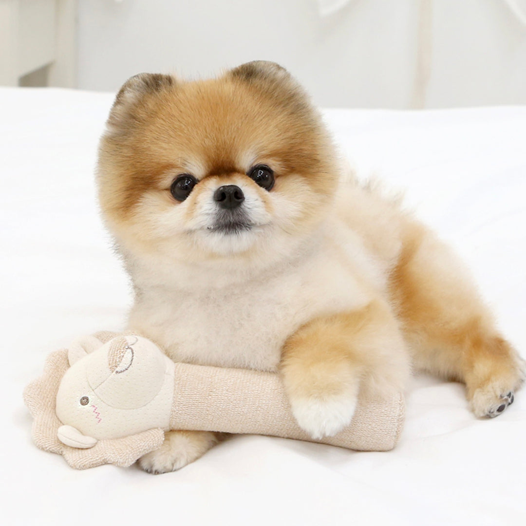 即納【ITS DOG】Organic Bath Toy（Lion）