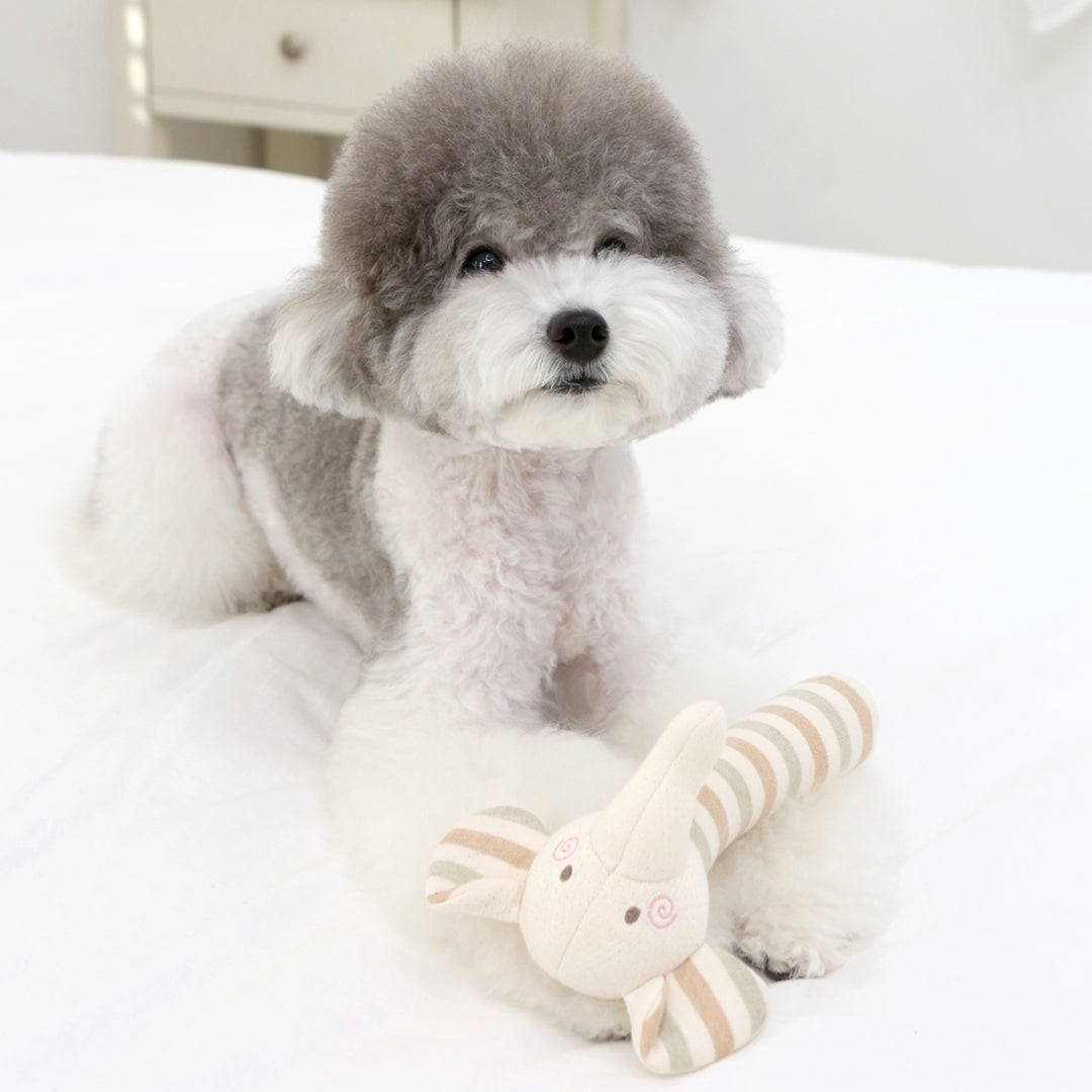 即納【ITS DOG】Organic Bath Toy（Elephant）